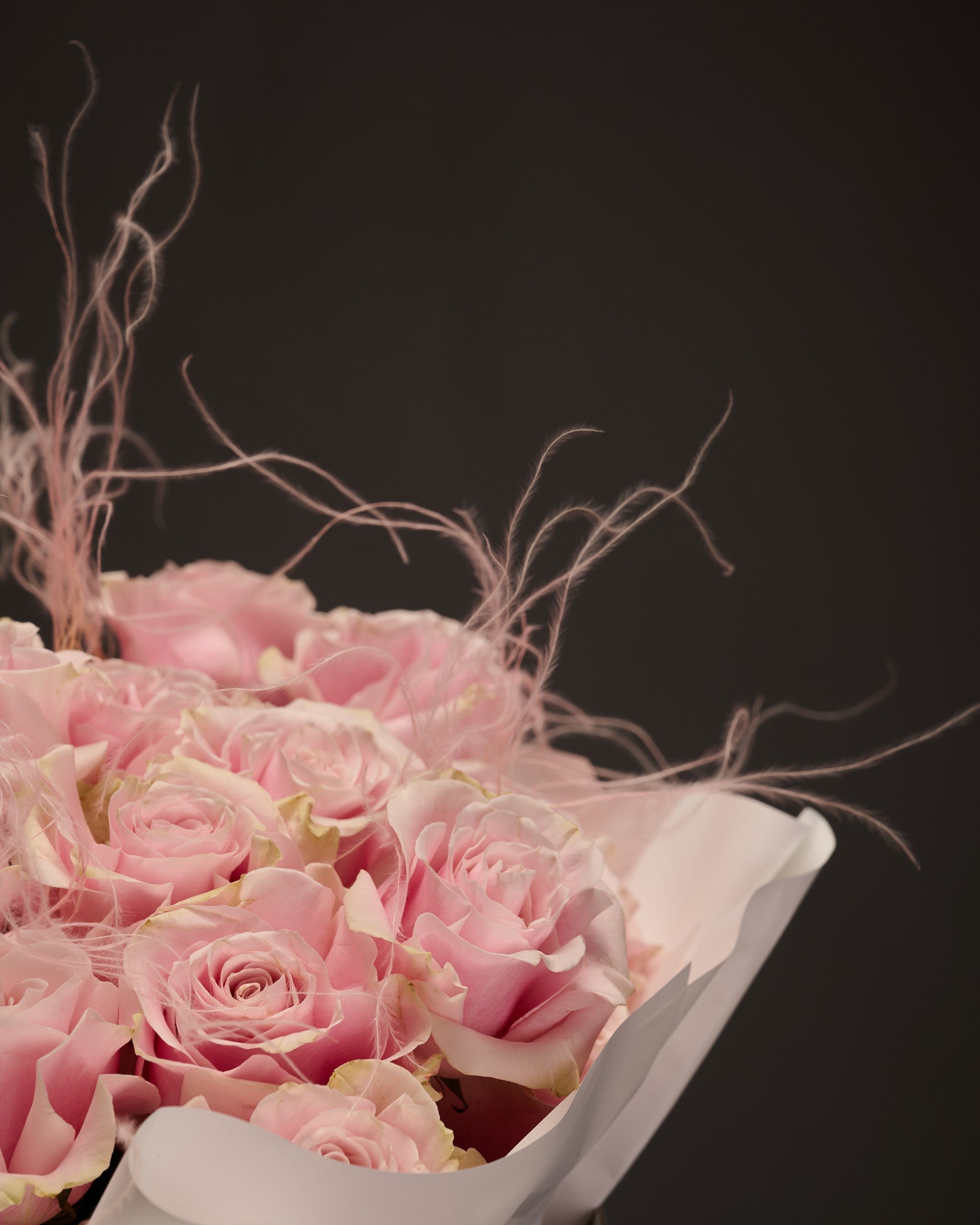 Beautiful pink roses with stifa