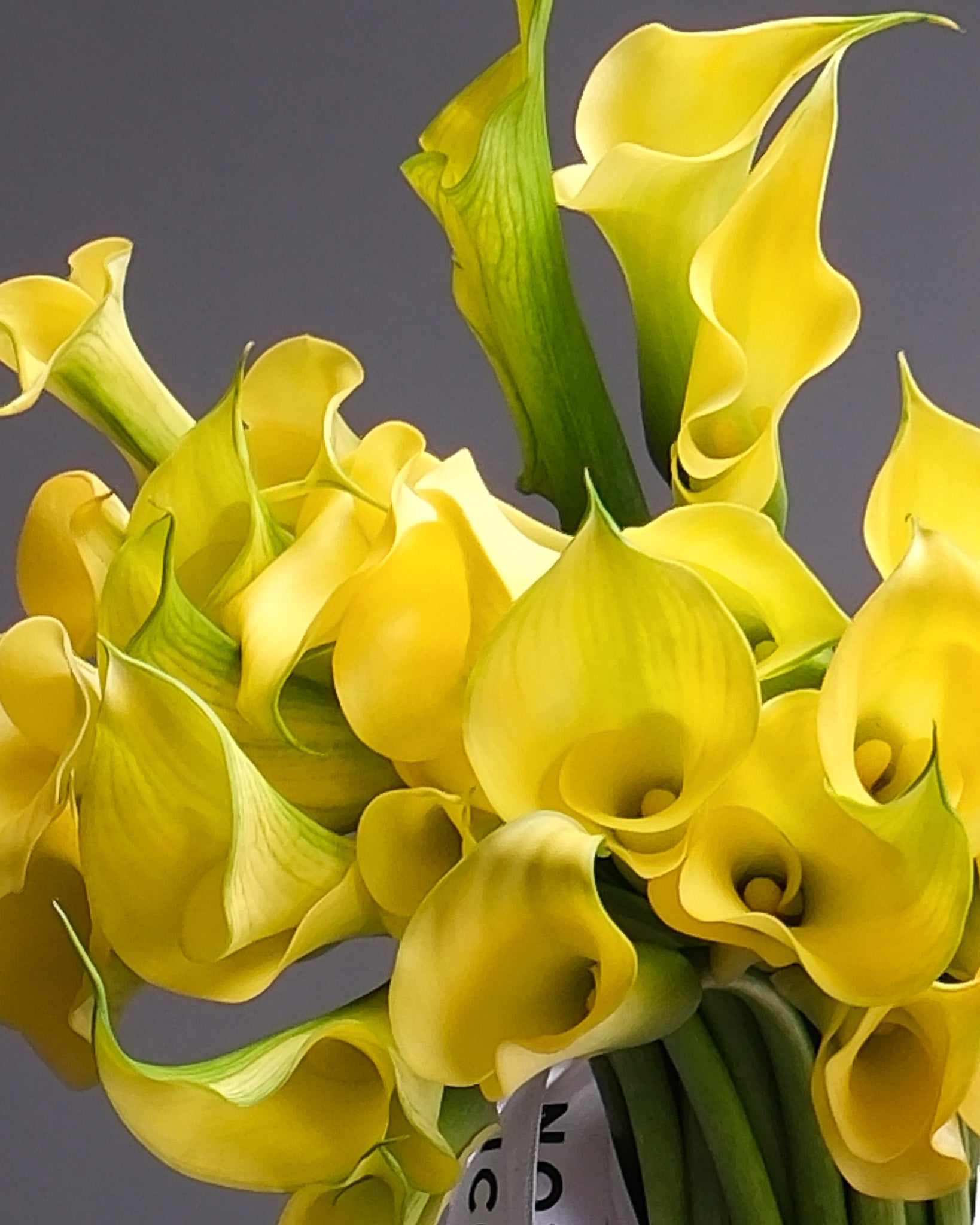 Calla lilies bouquet