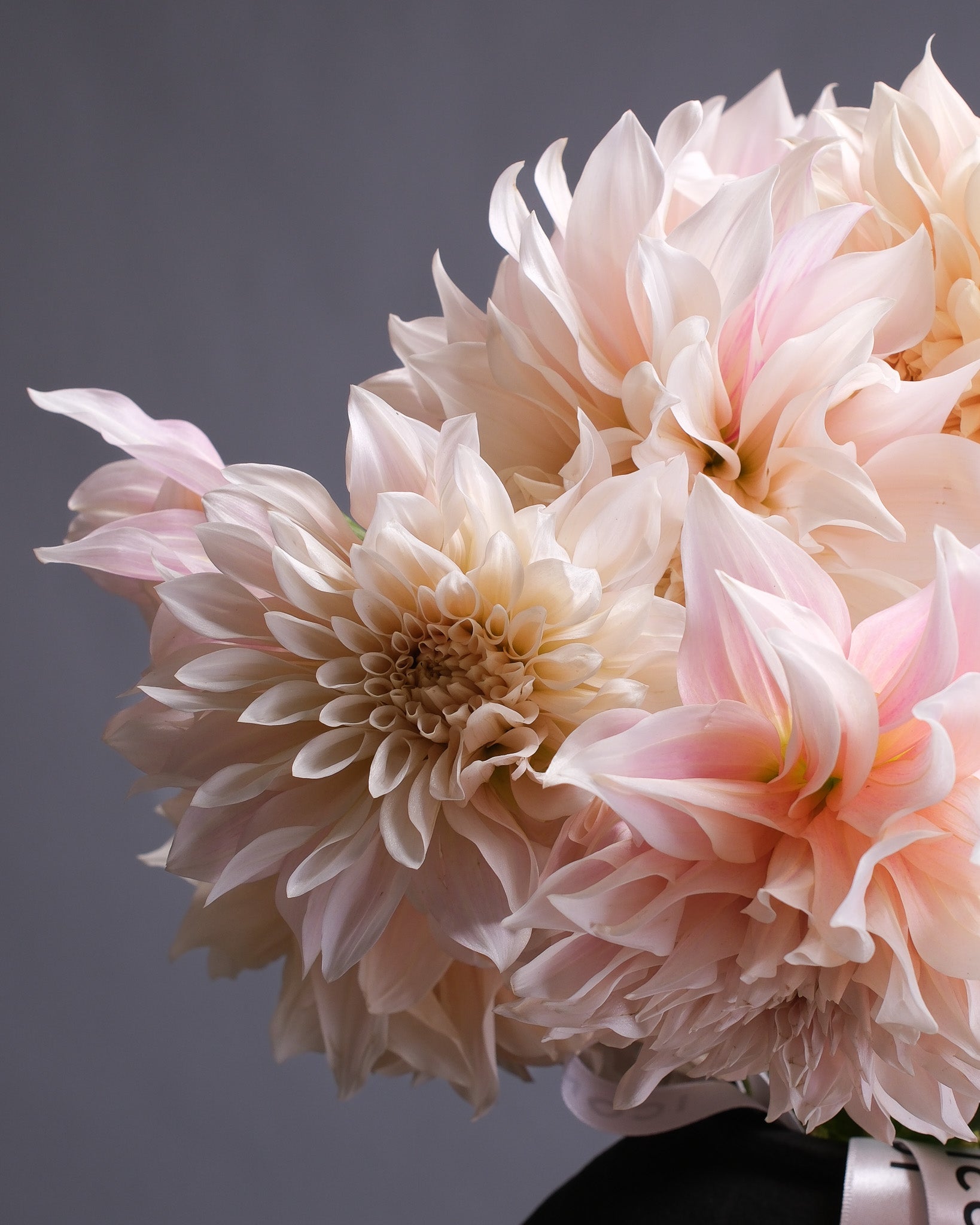 Creme Dahlia Bouquet