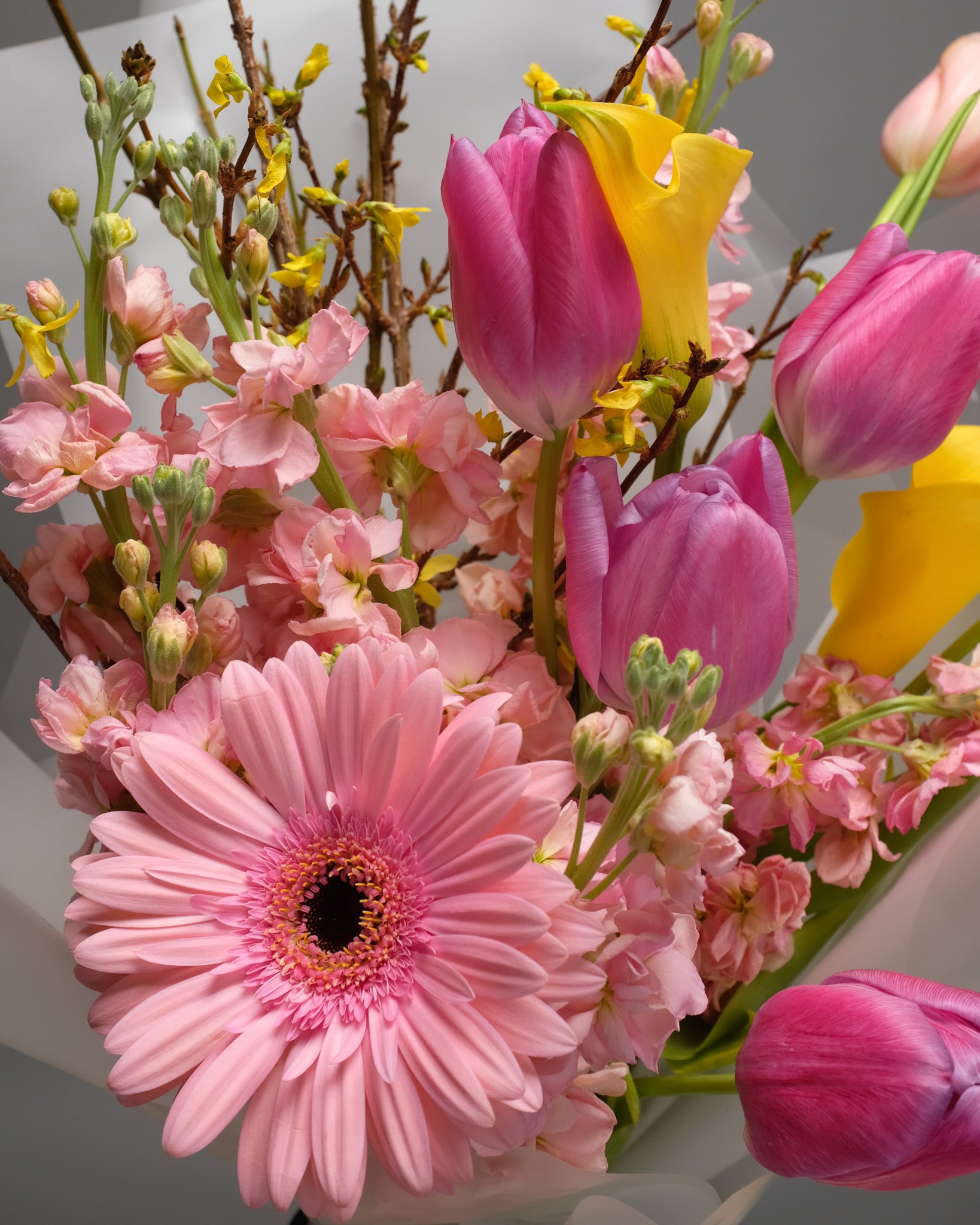 Detailed view of mixed seasonal flowers – fresh textures and layered petals in a soft palette