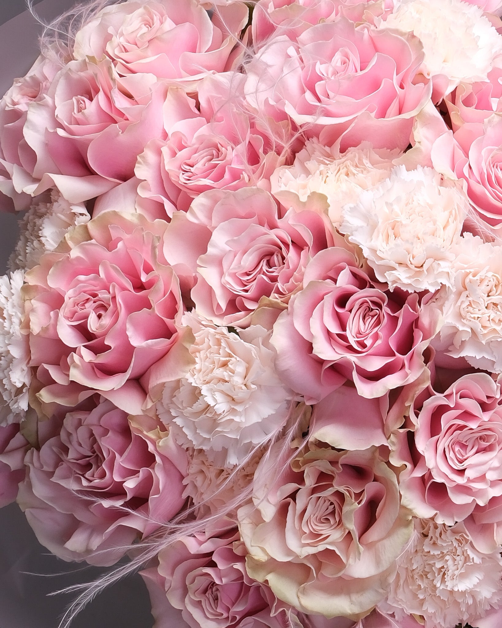 Close-up of a luxurious bouquet with oversized pink roses, blush carnations, and airy stipa grass, highlighting soft textures and romantic tones.