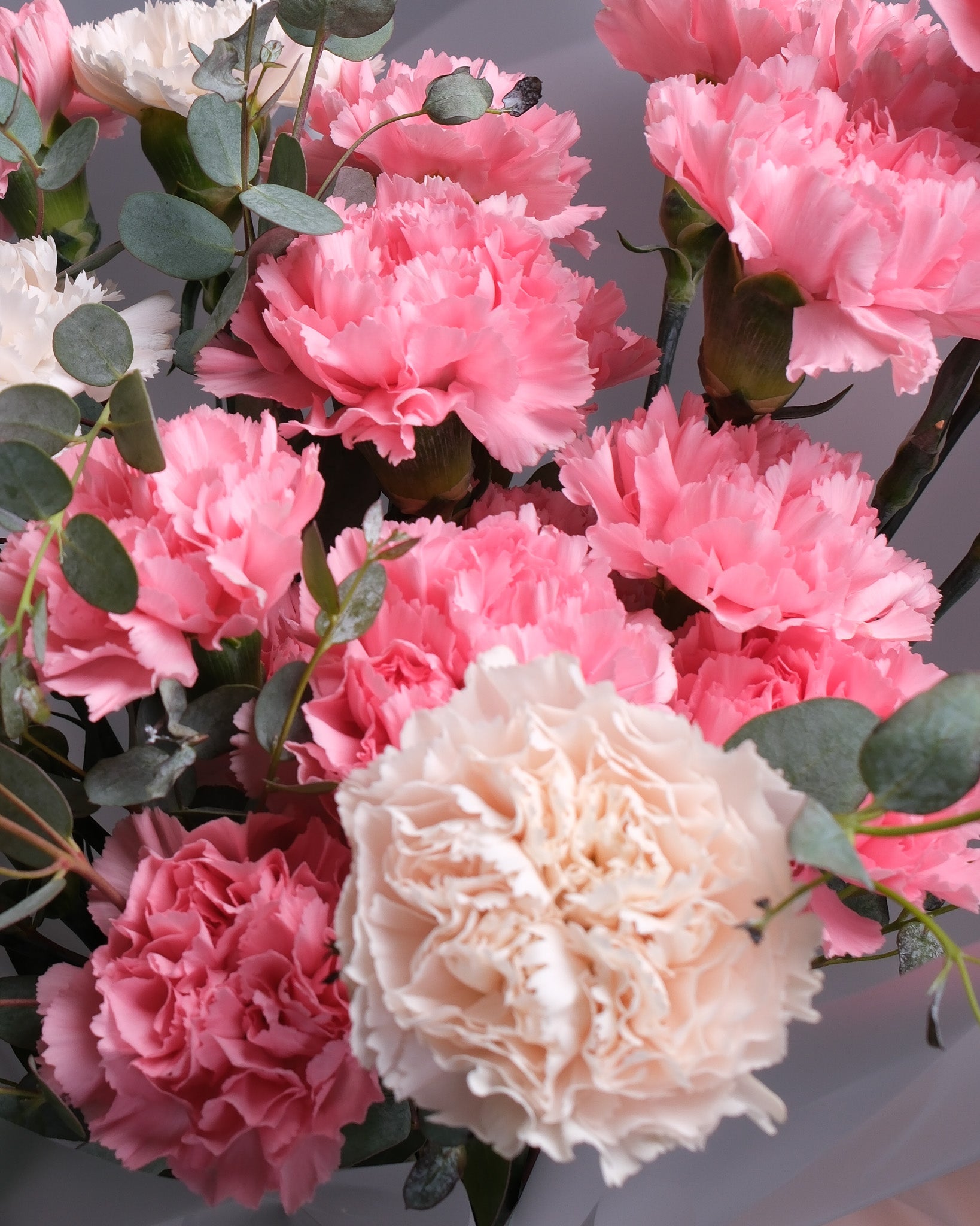 Close-up of ruffled pink carnations in two shades with green accents – soft and feminine flower arrangement