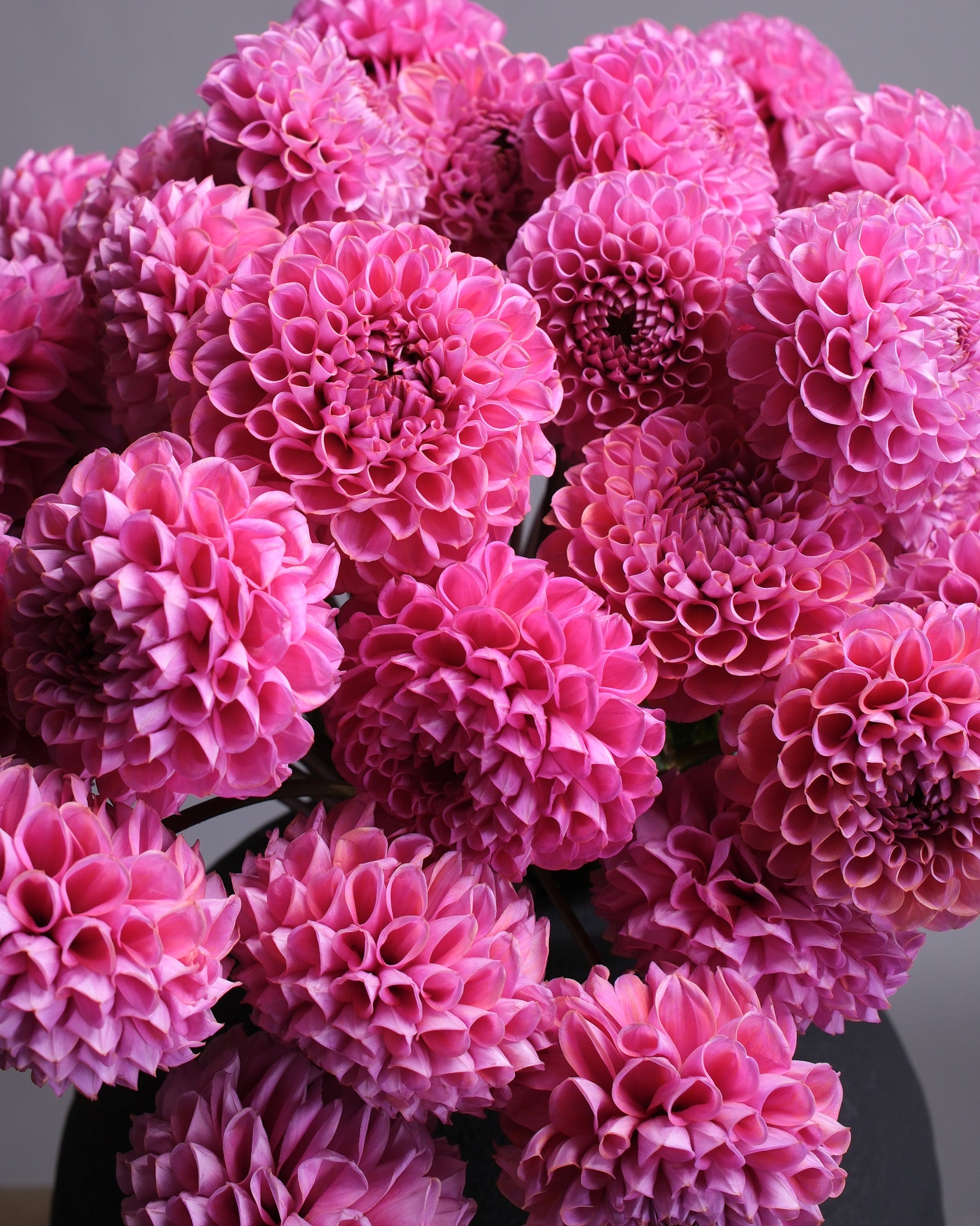 Fuschia Dahlia Bouquet
