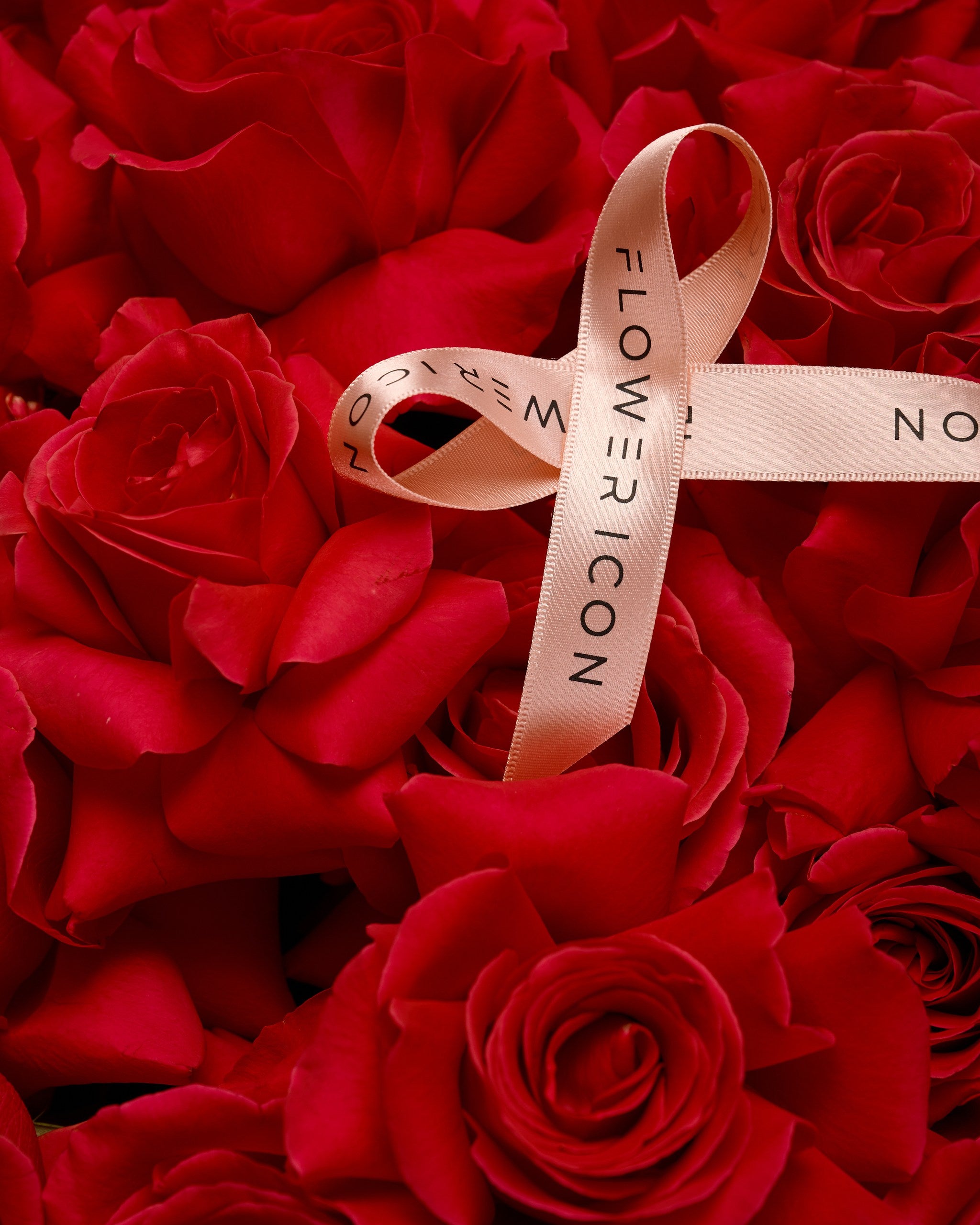 Close-up of velvety red roses with deep petals from Flower Icon’s premium mono rose bouquet
