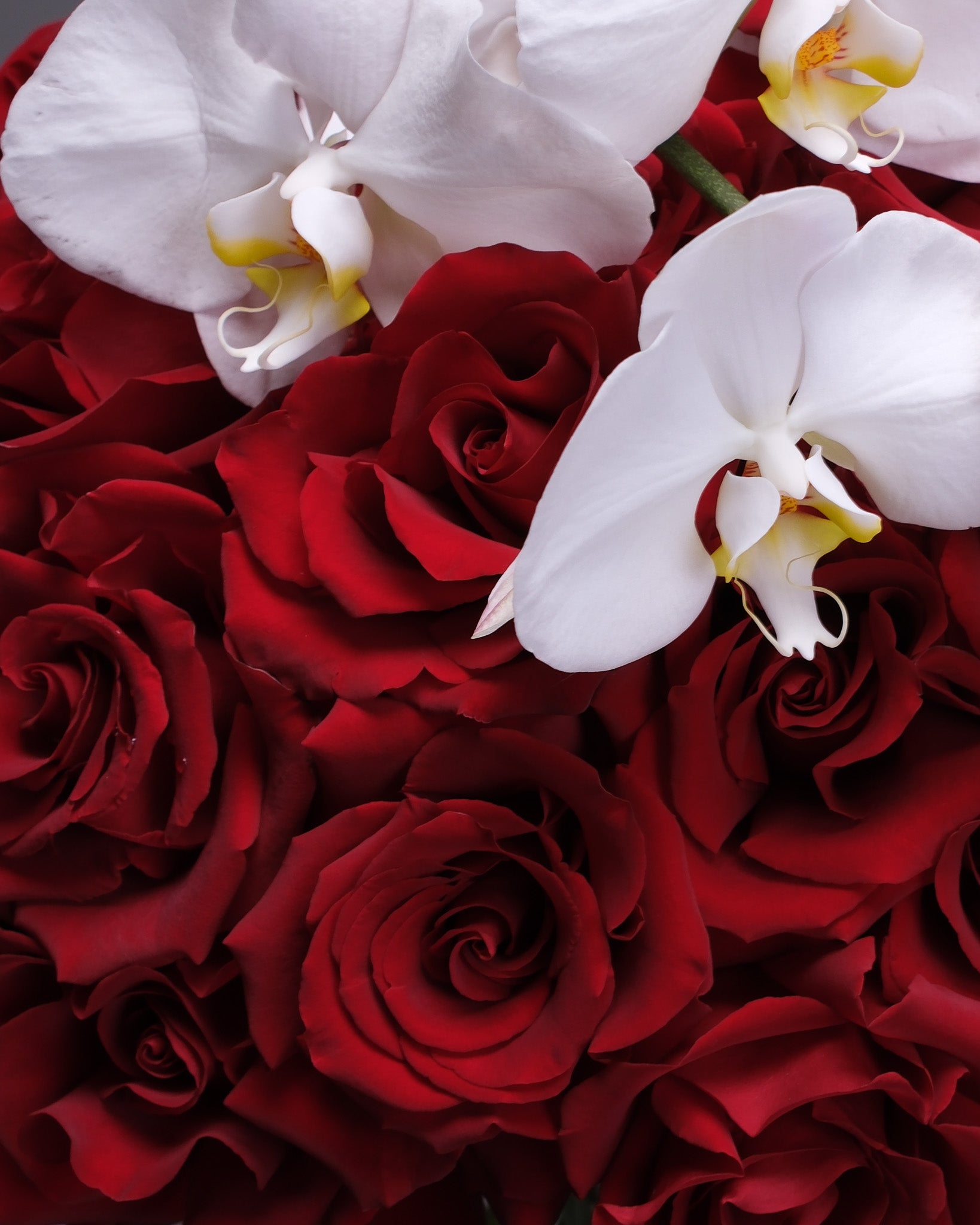 Red Roses and Orchid: Velvet Orchid Bouquet