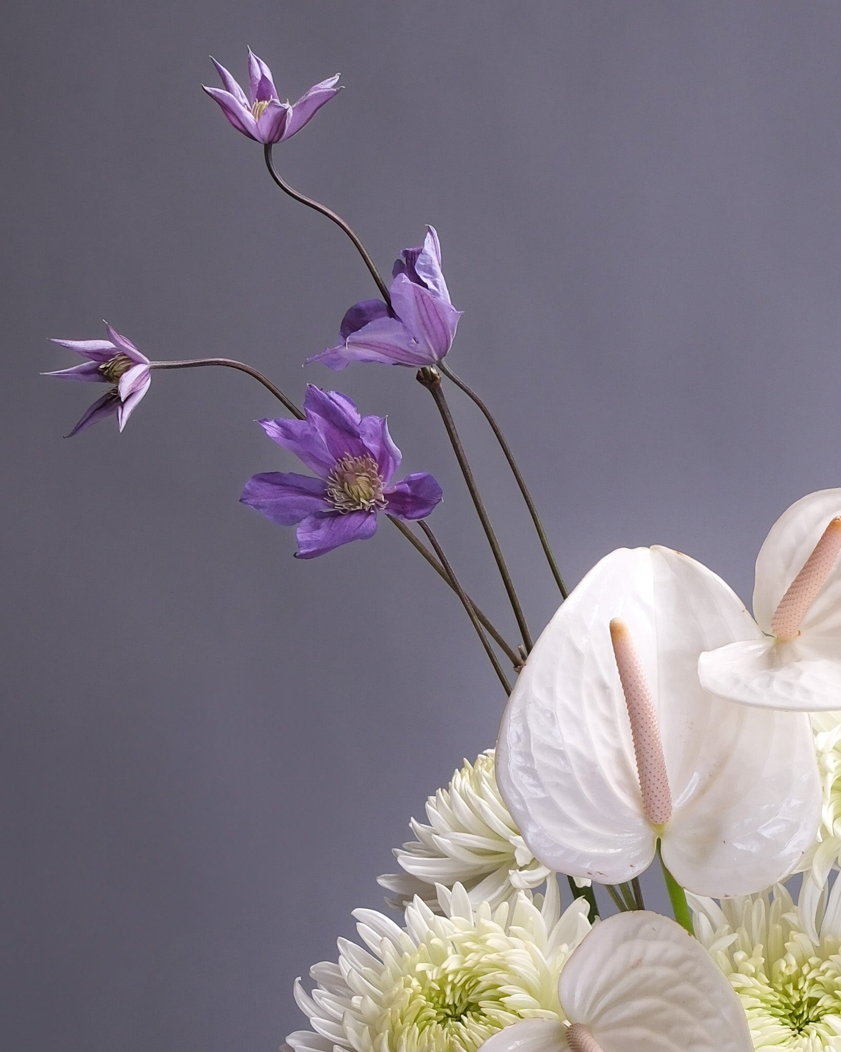 Close-up of an Asian-inspired arrangement with white chrysanthemums, sleek white anthurium, and delicate purple clematis, highlighting texture and contrast.