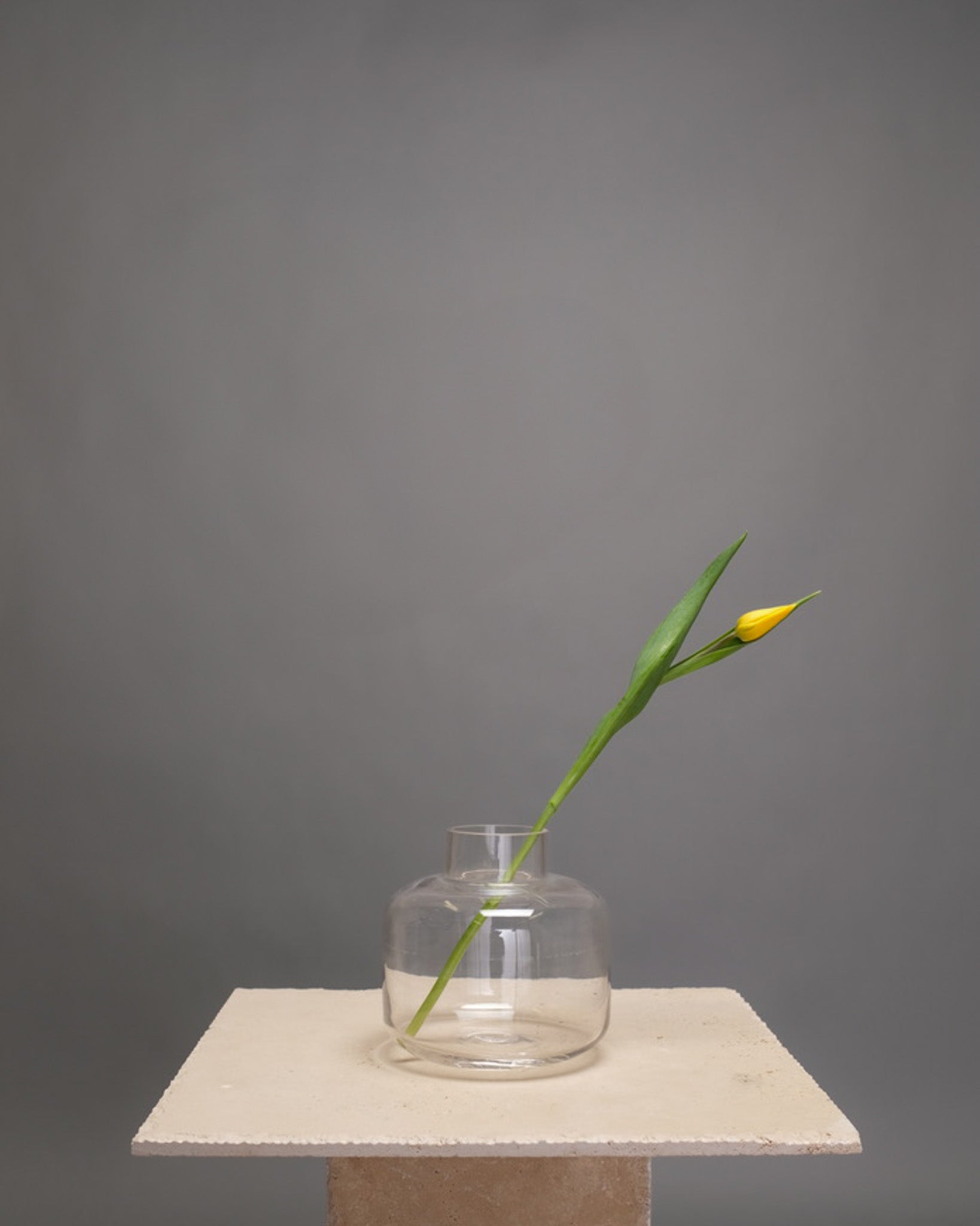 Short clear glass vase with a rounded shape – perfect for small to medium-sized flower bouquets