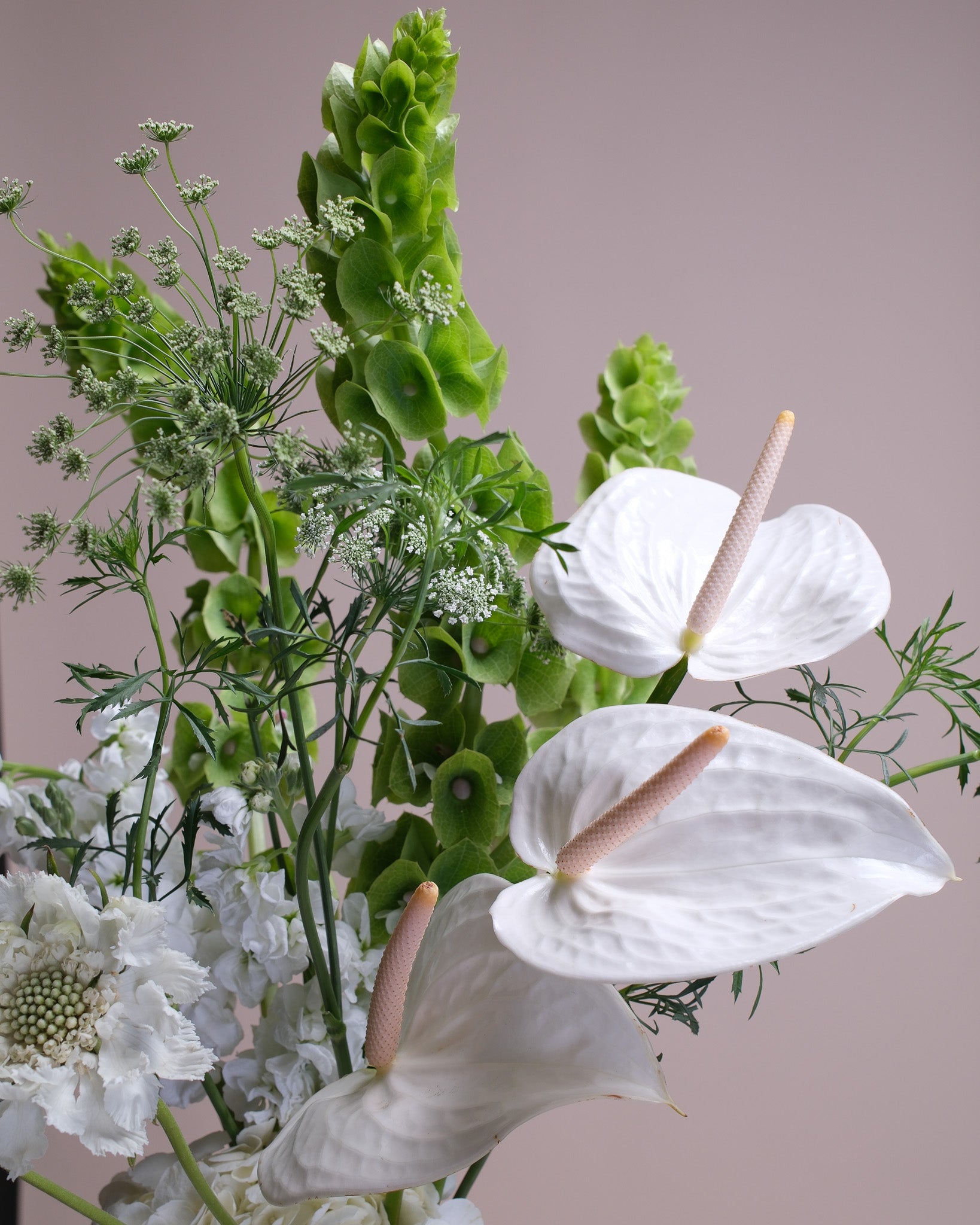 Close-up of a modern bouquet with green Bells of Ireland, white delphinium, delicate scabiosa, and striking white anthurium, highlighting texture and structure.