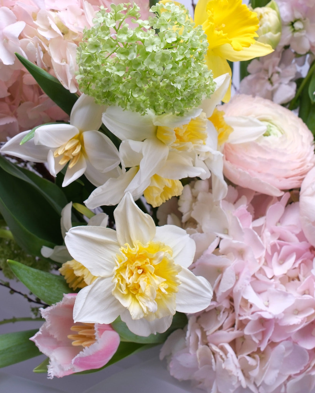 How to Make Cut Flowers Last Longer: The Complete Care Guide | Flower Icon