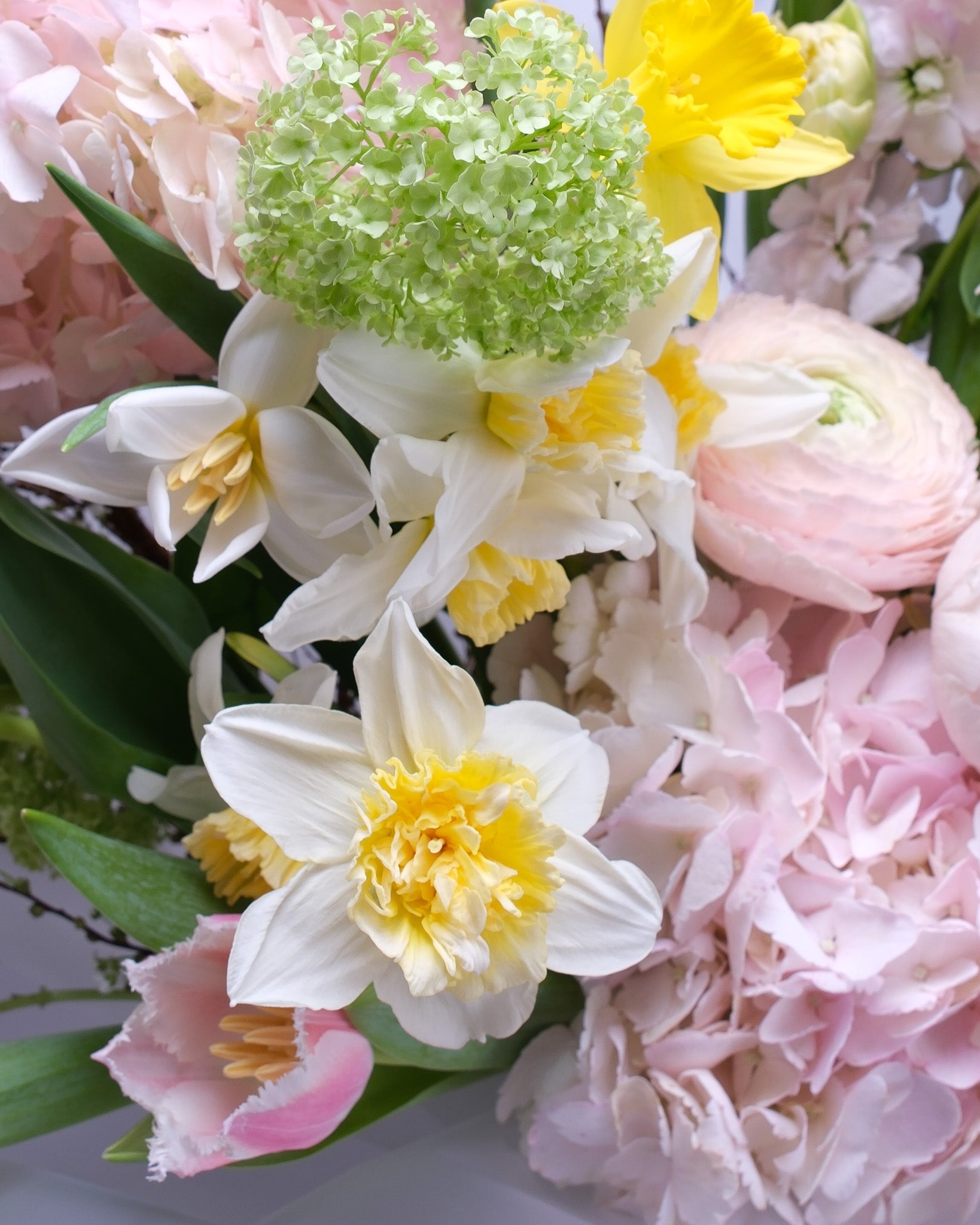 How to Make Cut Flowers Last Longer: The Complete Care Guide