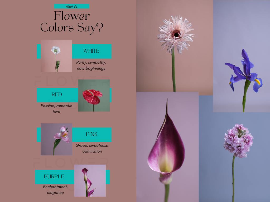 Flower Bouquets 101: Styles, Meanings, and Gifting Tips