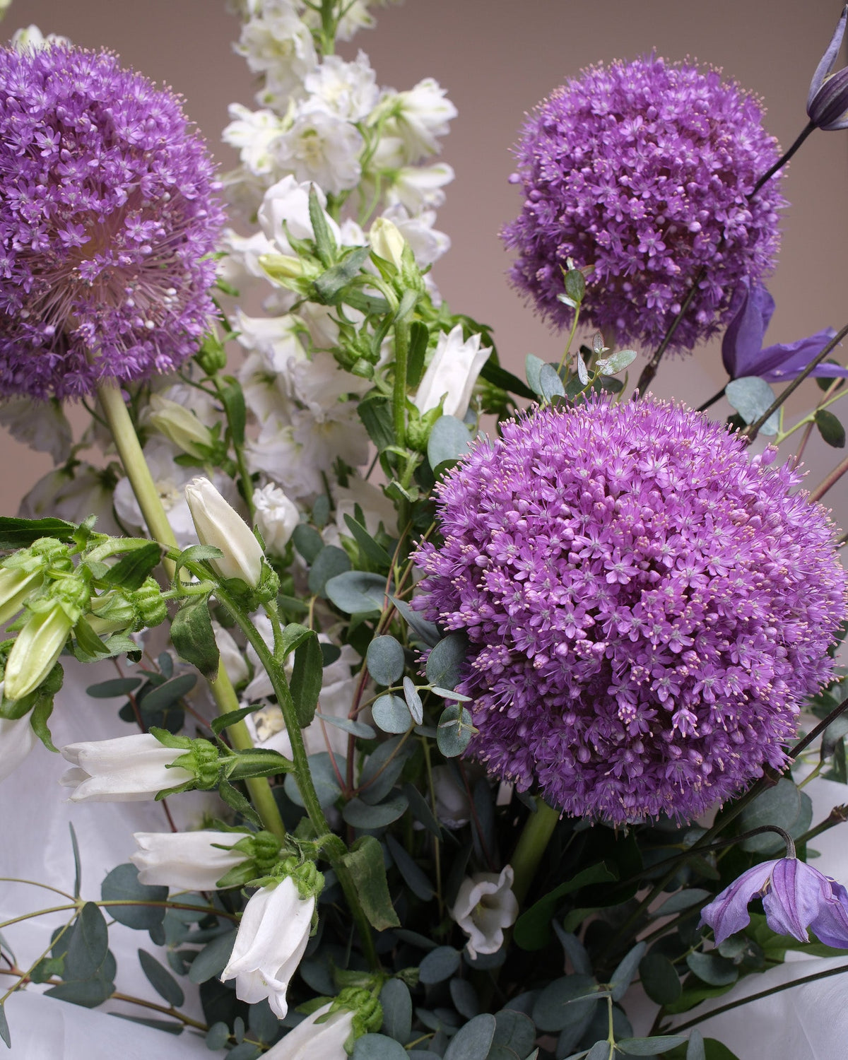Purple Flowers: Names, Meanings, and Top Varieties for Dramatic Bouquets