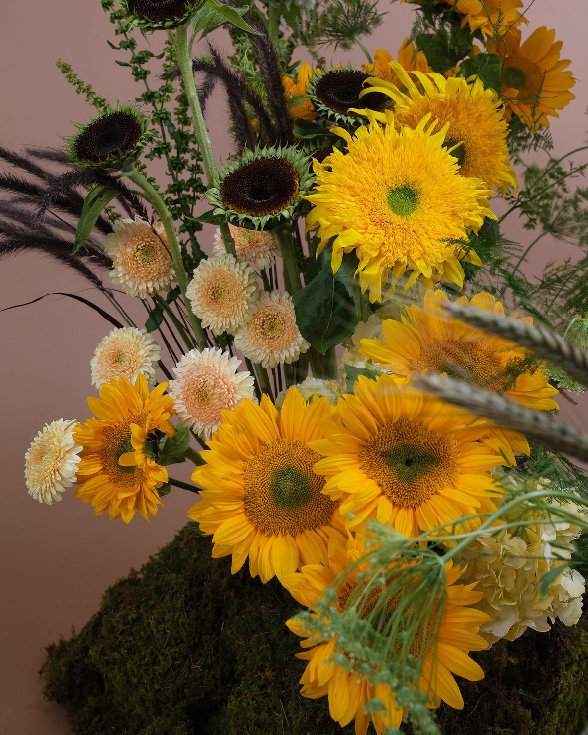 What Flowers Are in Season? A San Francisco Month-by-Month Guide