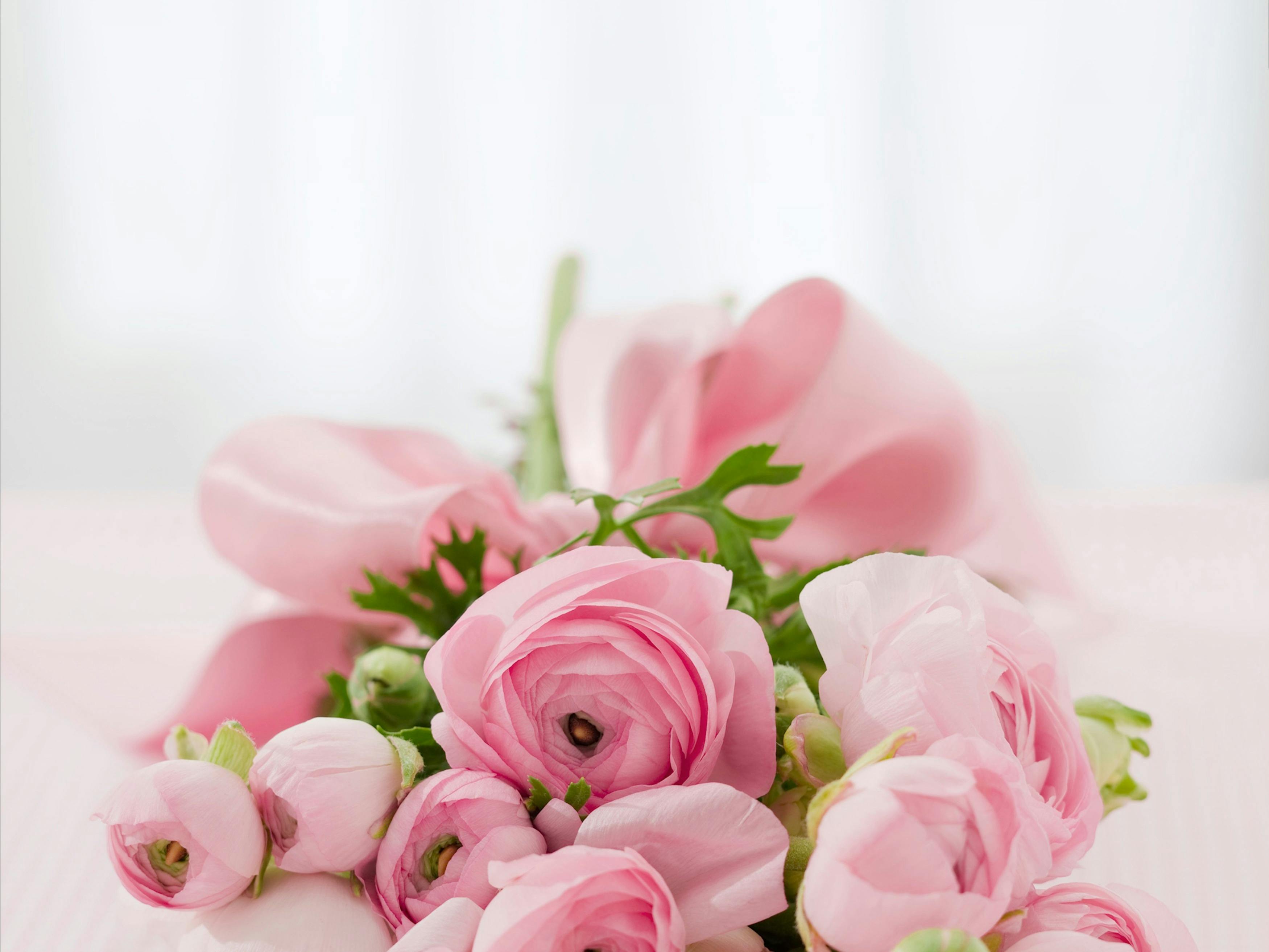 Flower Arrangements Delivery in San Francisco 