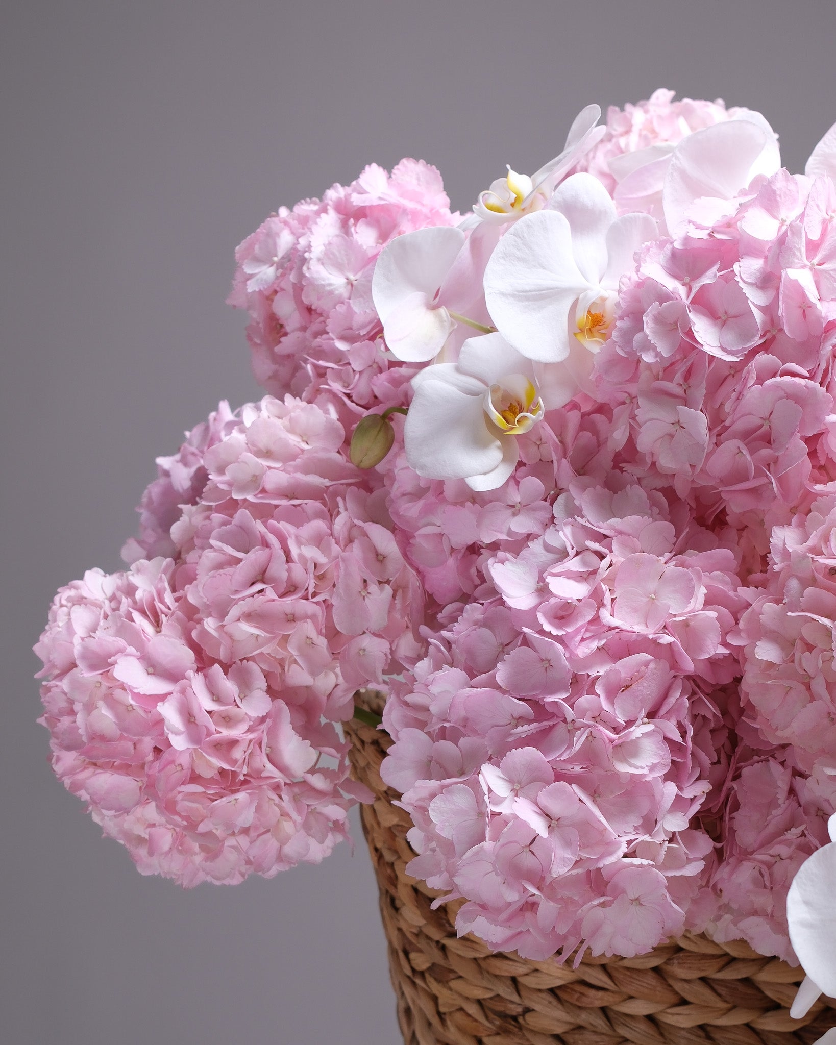 Where to Buy Fresh Hydrangeas in San Francisco