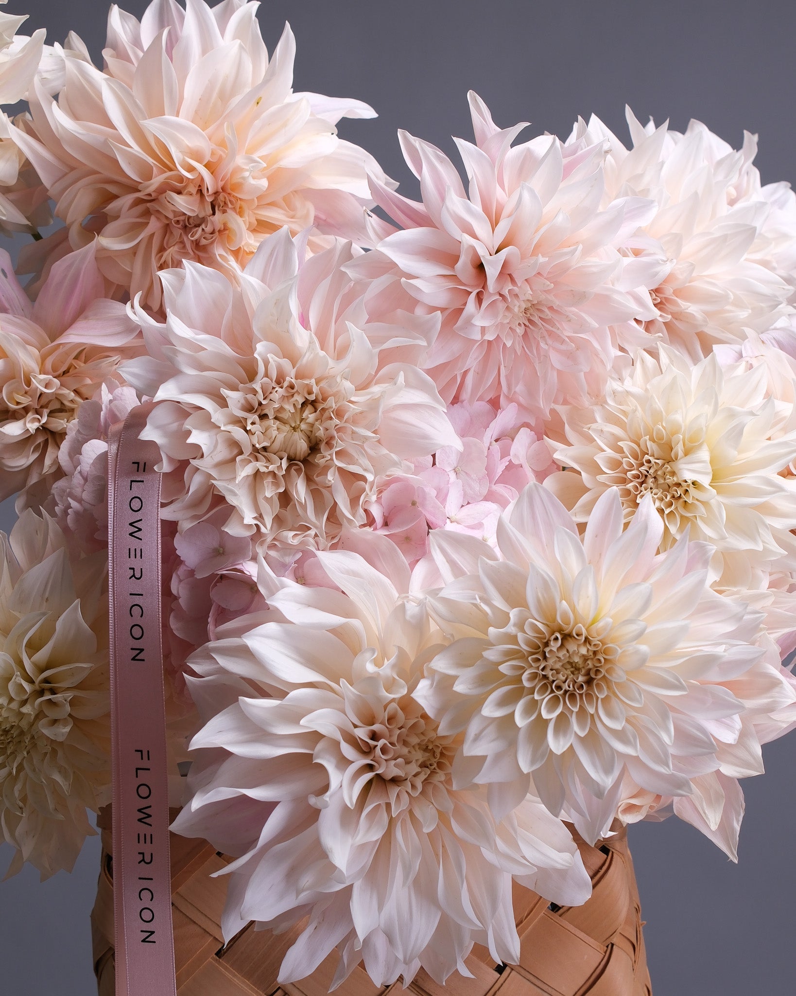 Dahlias