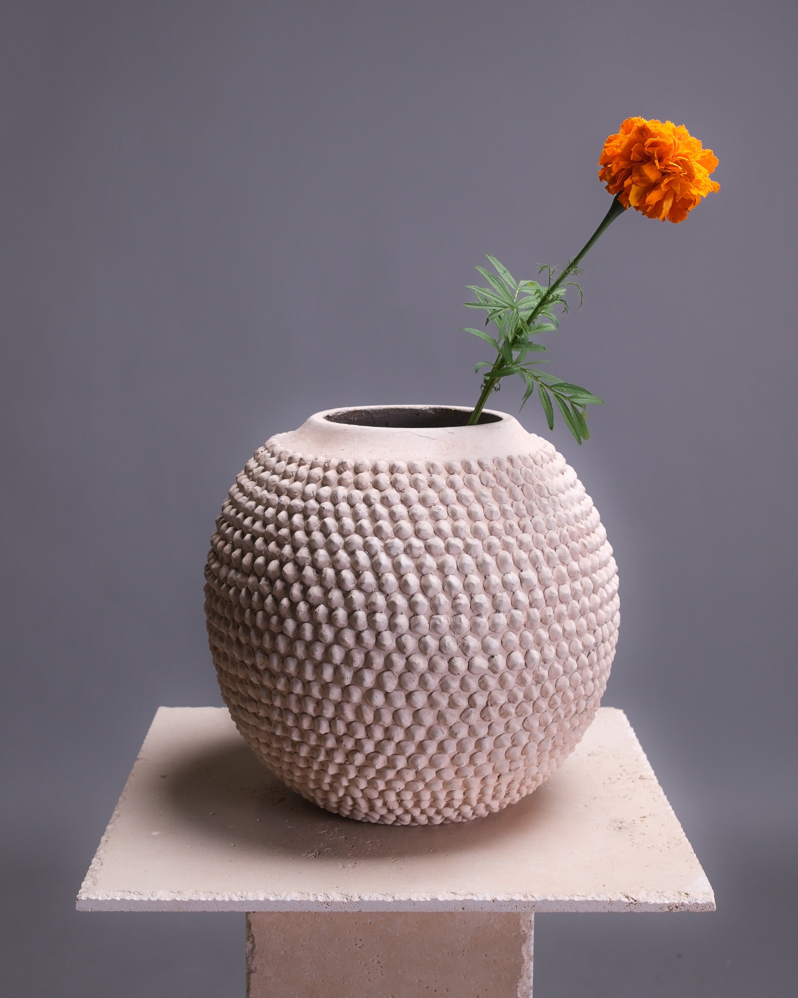 Beige Interior Vase