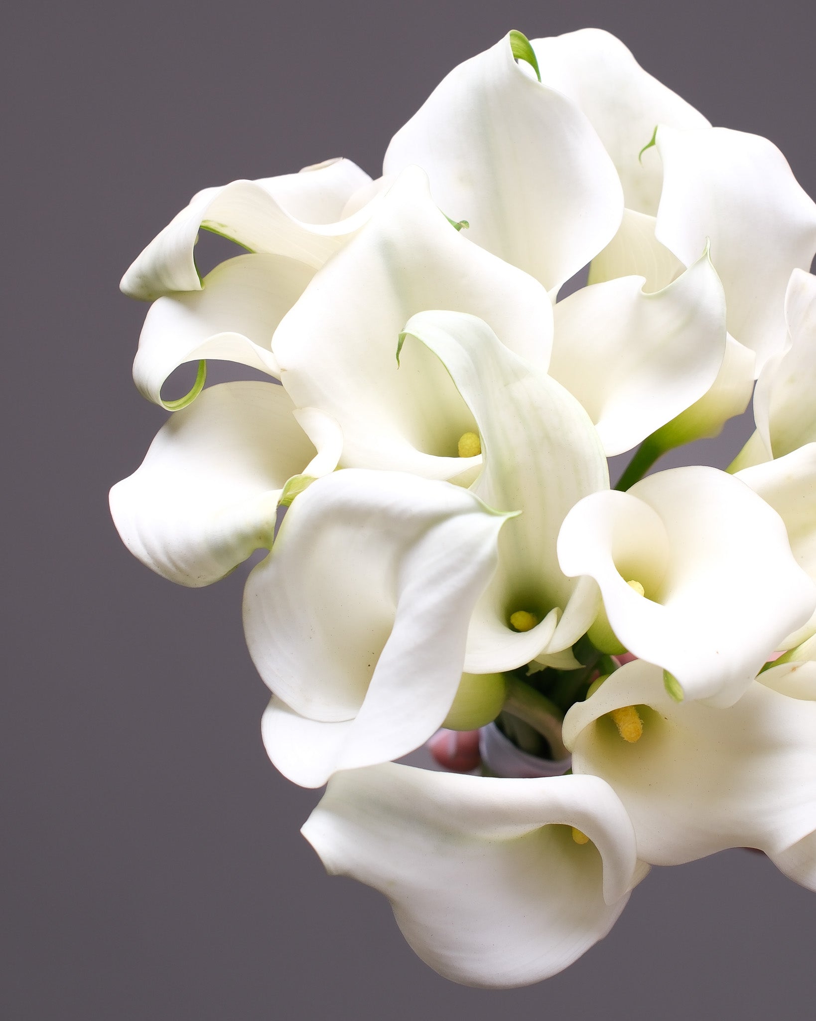 Mini Calla Lily Bridal Bouquet & Boutonniere