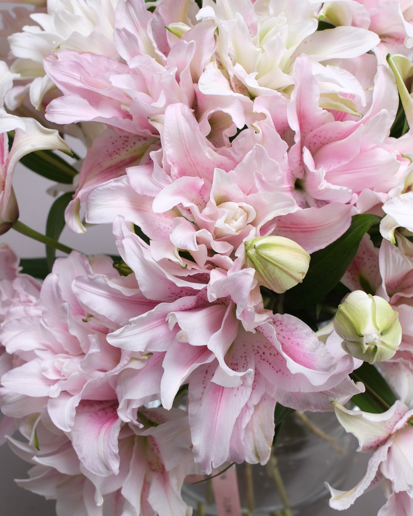 Full bloom double Oriental Lily arrangement — Flower Icon SF florist