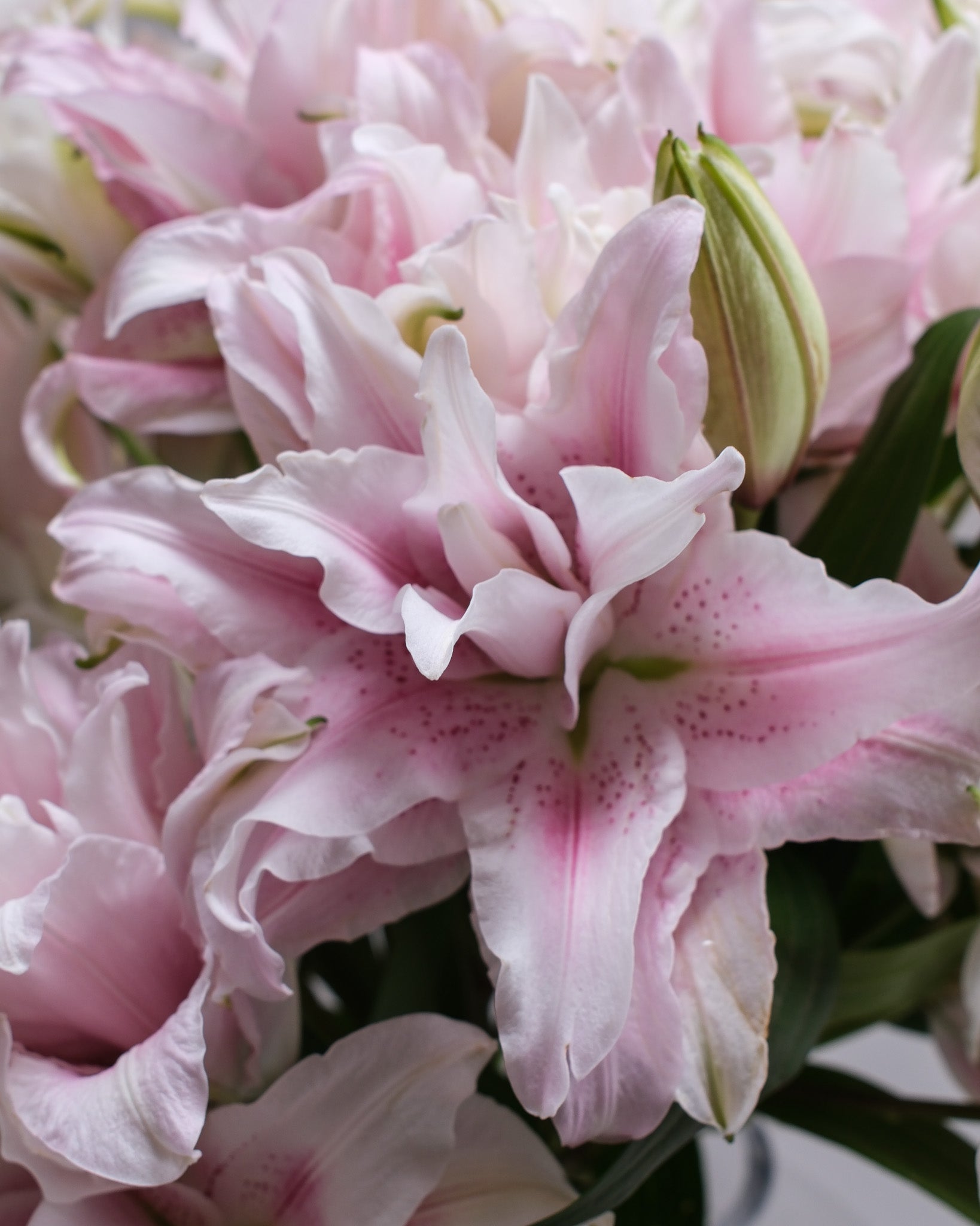 Double Oriental Lily bouquet — luxury flowers by Flower Icon San Francisco Bay Area