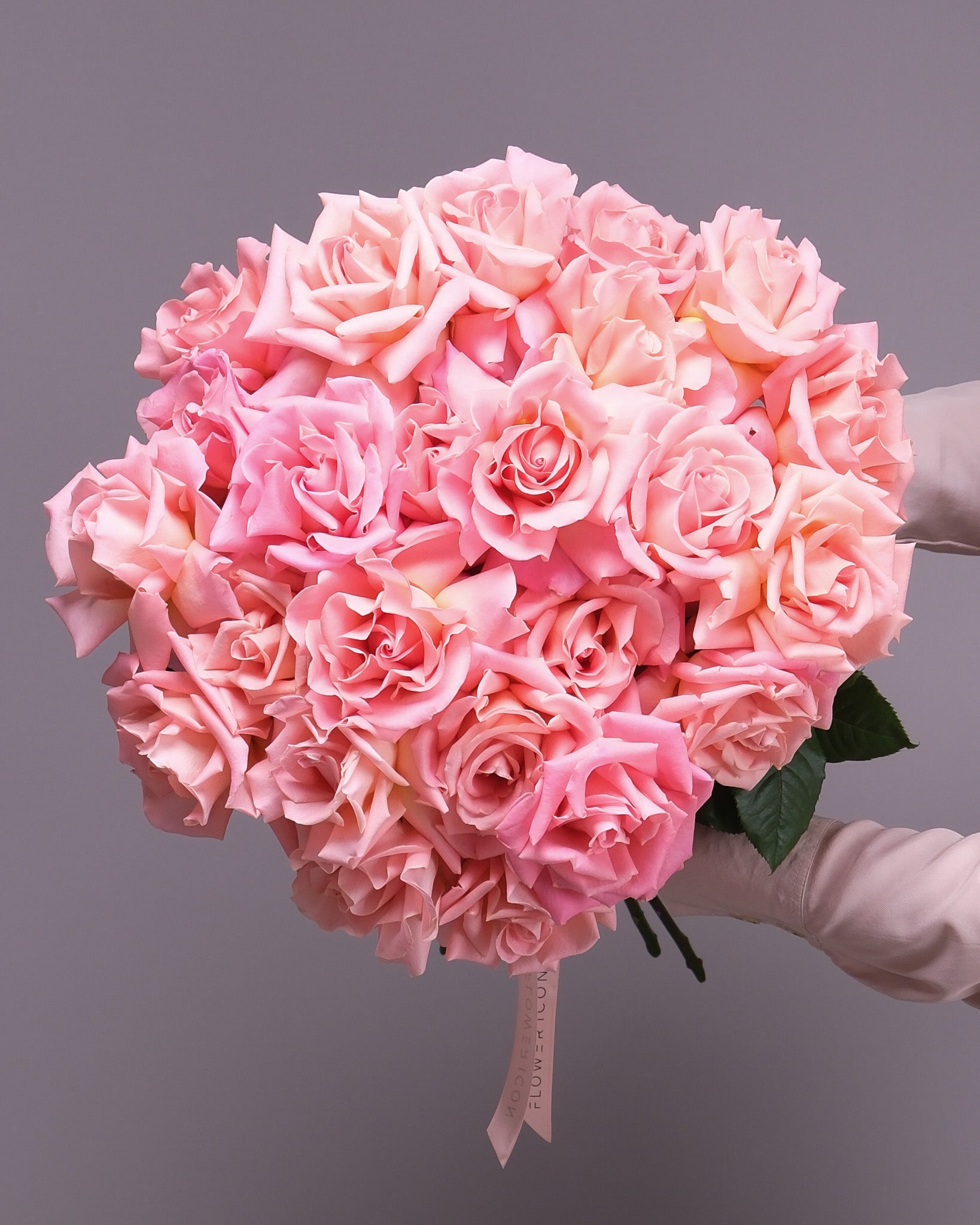 Pink Roses: Blush Ombre