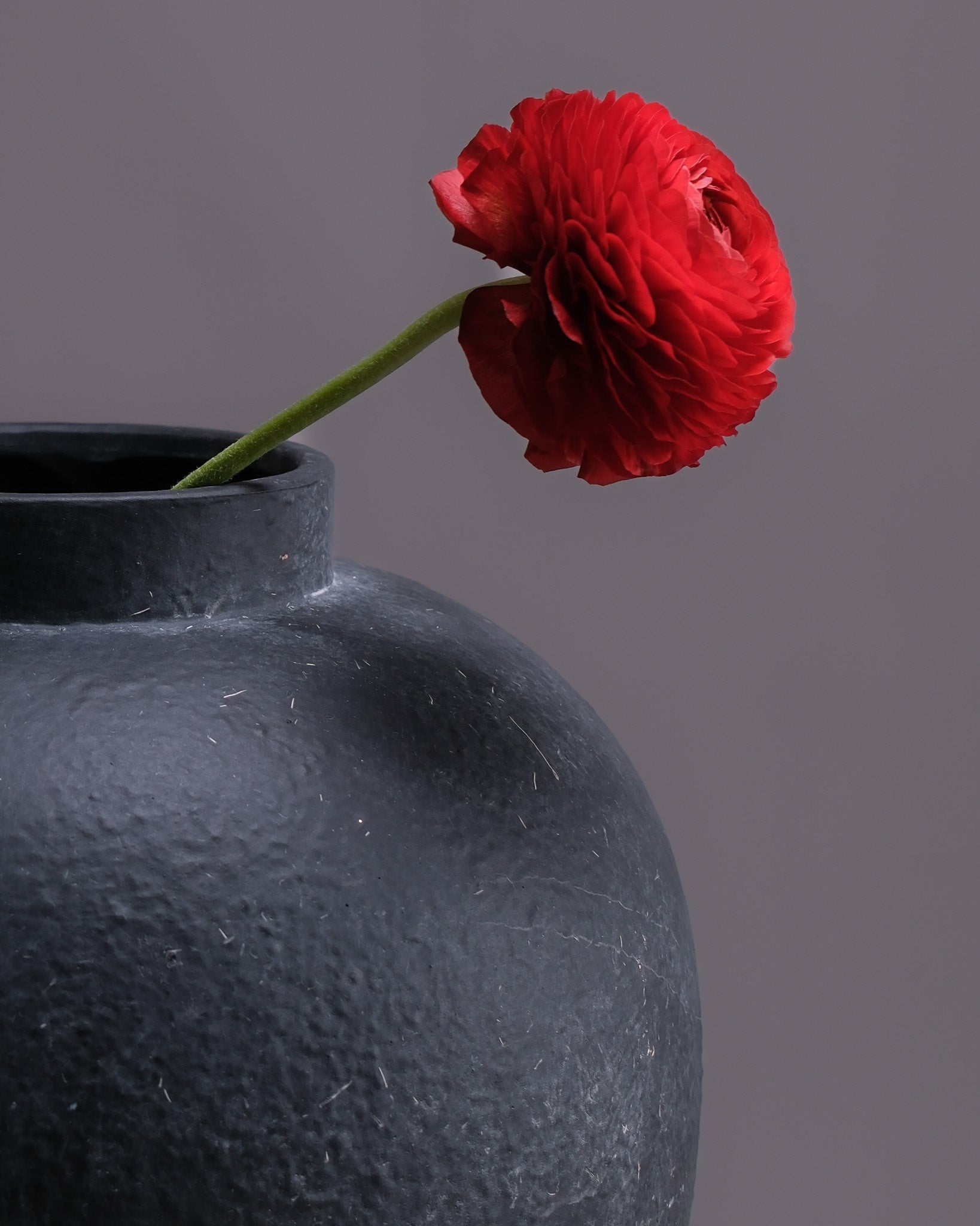 Black Interior vase