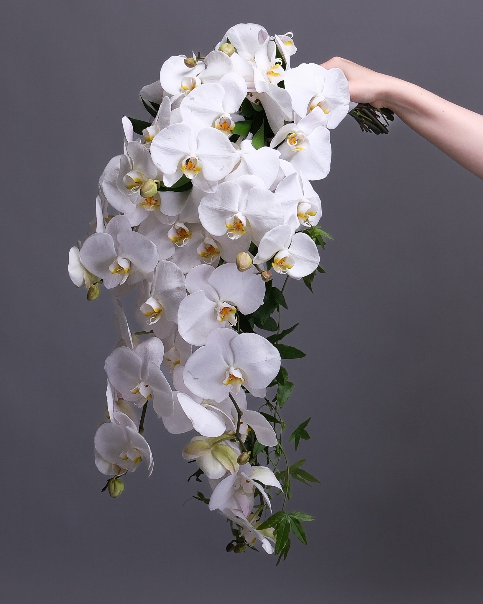 Bouquet of white orchids held against a gray background