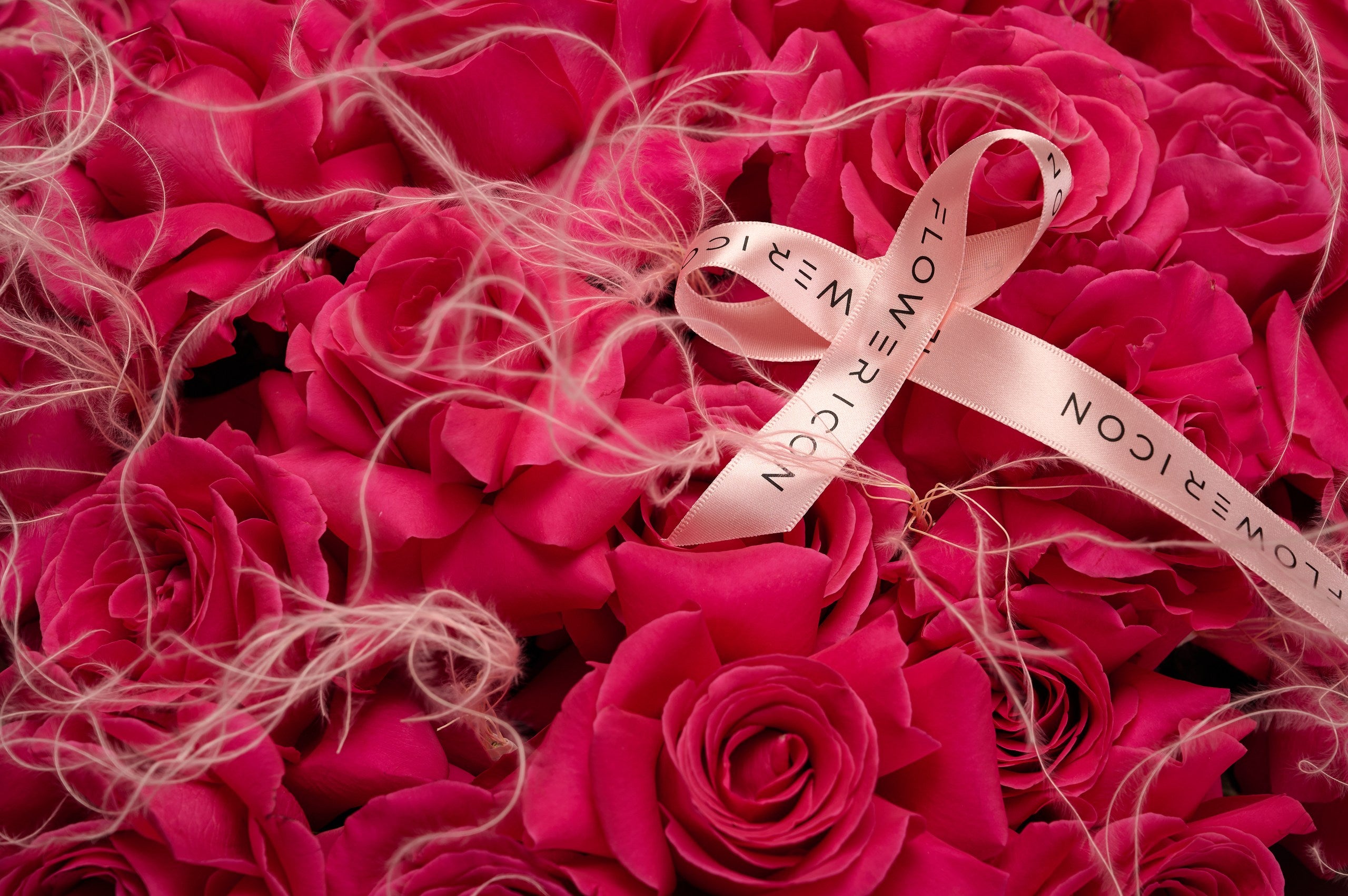 Pink roses with FLOWERICON ribbons