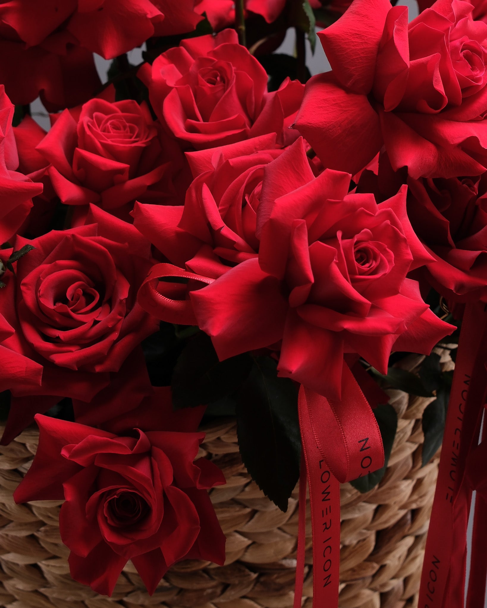 Iconic French Roses: Sailing Dreams