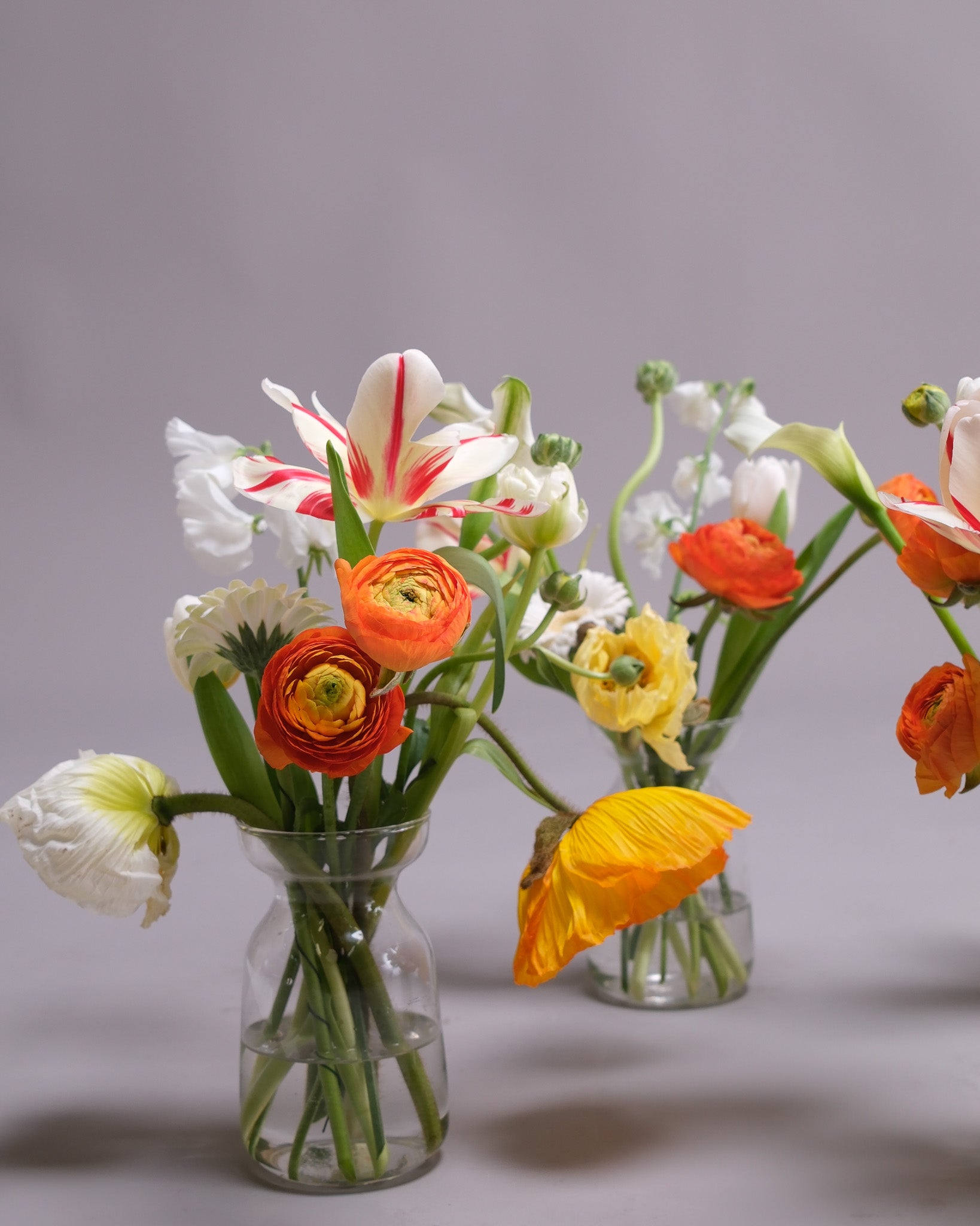 Two glass vases filled with colorful flowers on a gray background