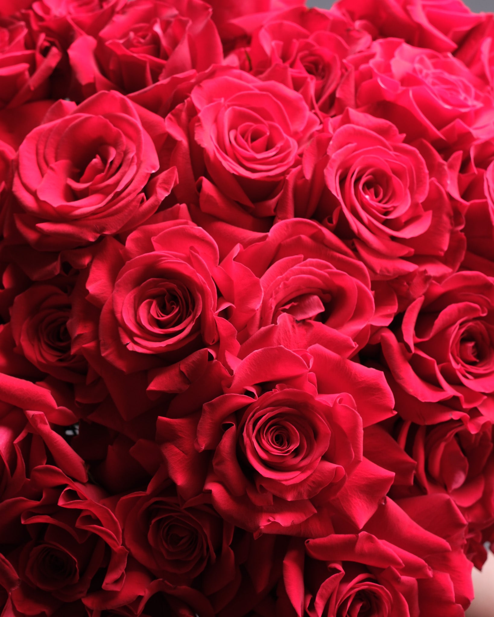 Iconic Heart of French Roses Bouquet