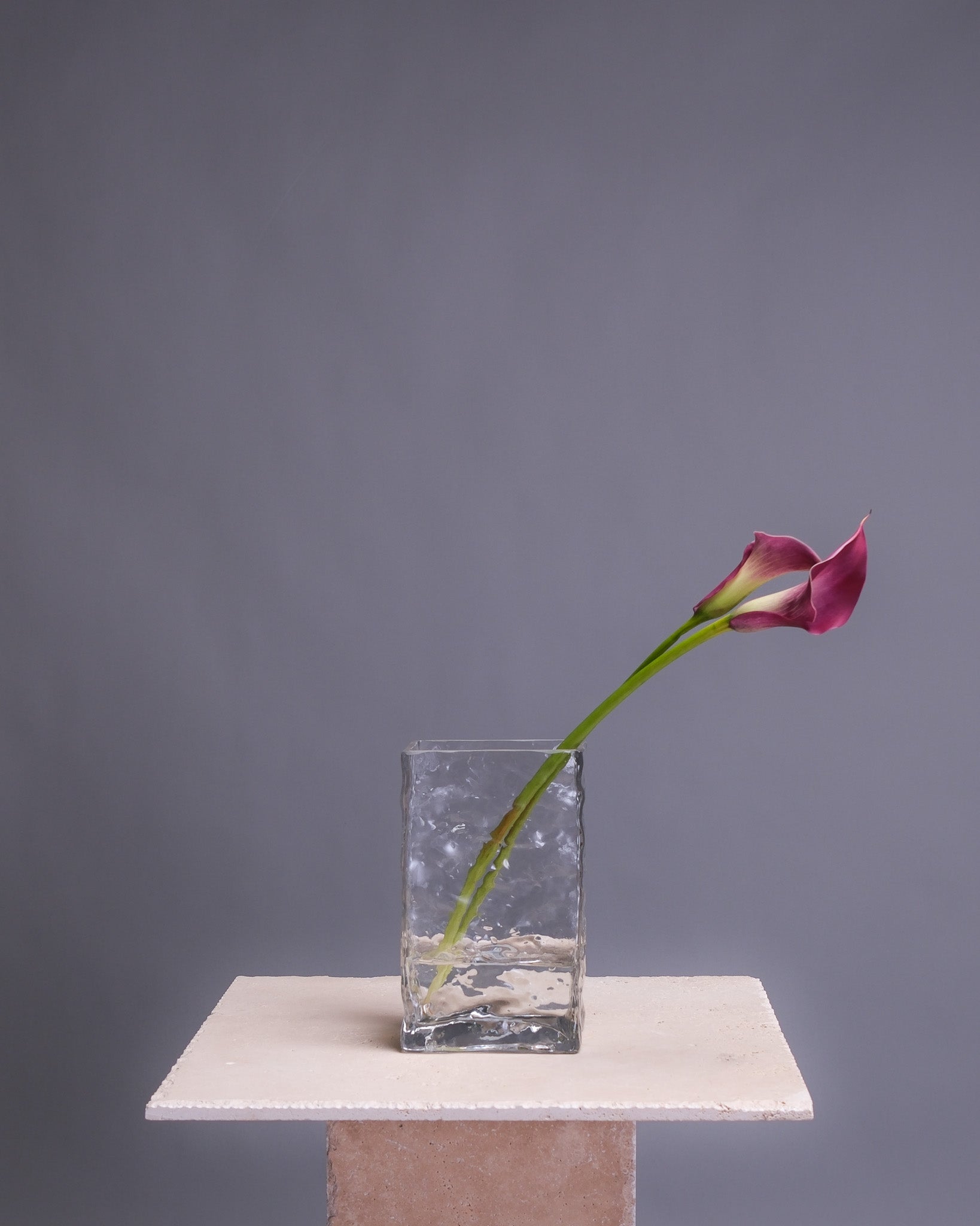 Medium-sized rectangular glass vase with an obscure, textured finish—modern and minimal, perfect for floral arrangements or home decor.
