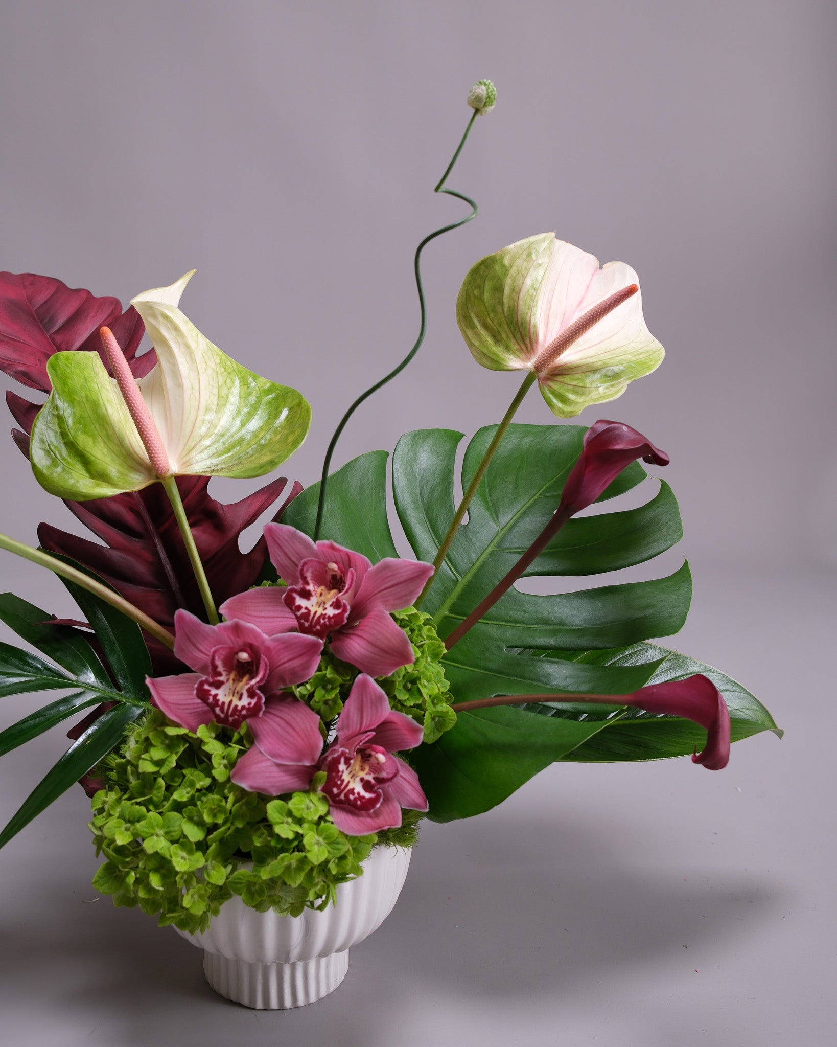 Floral arrangement with pink orchids, green leaves, and red flowers in a white vase on a gray background