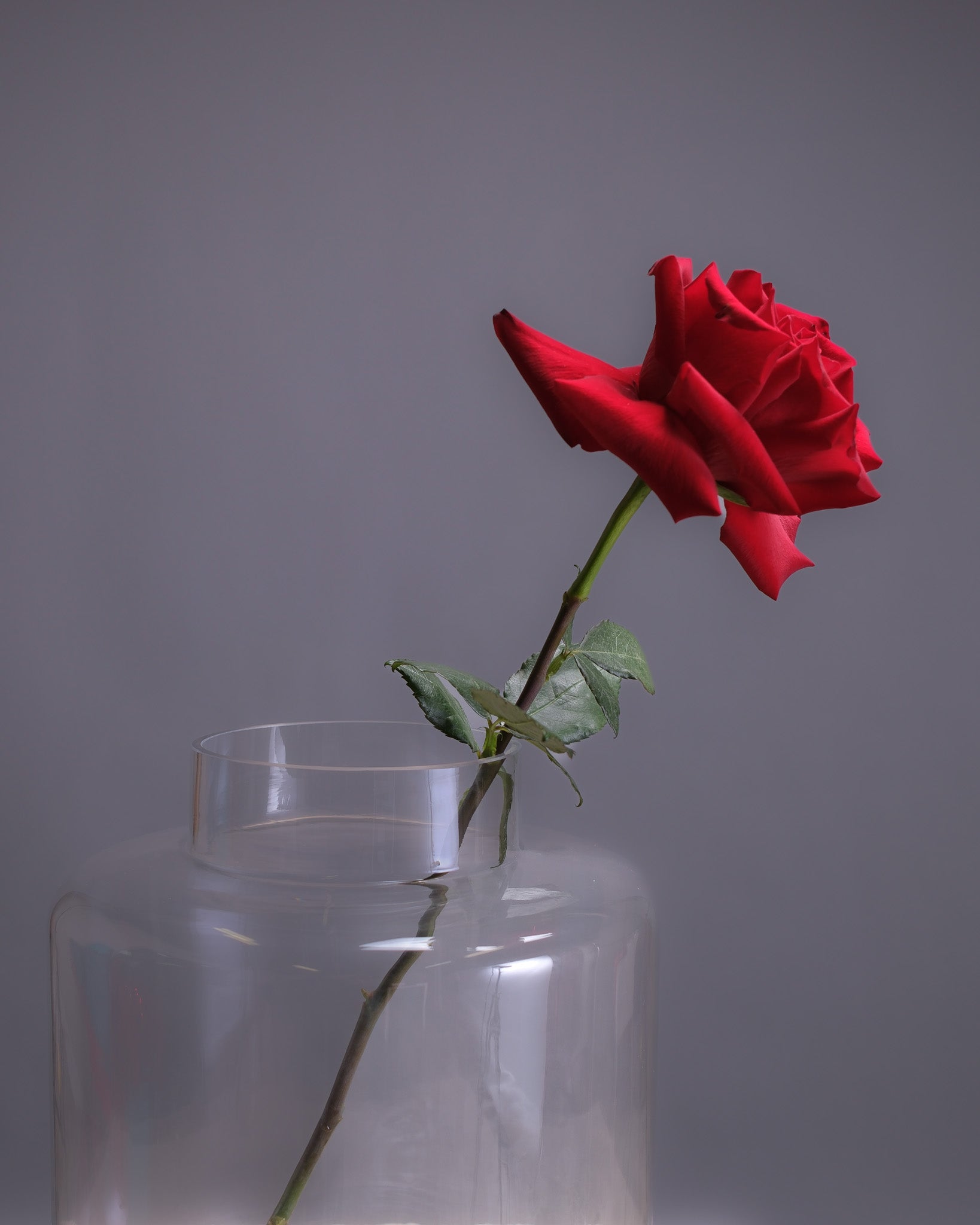 Extra Large Clear Vase