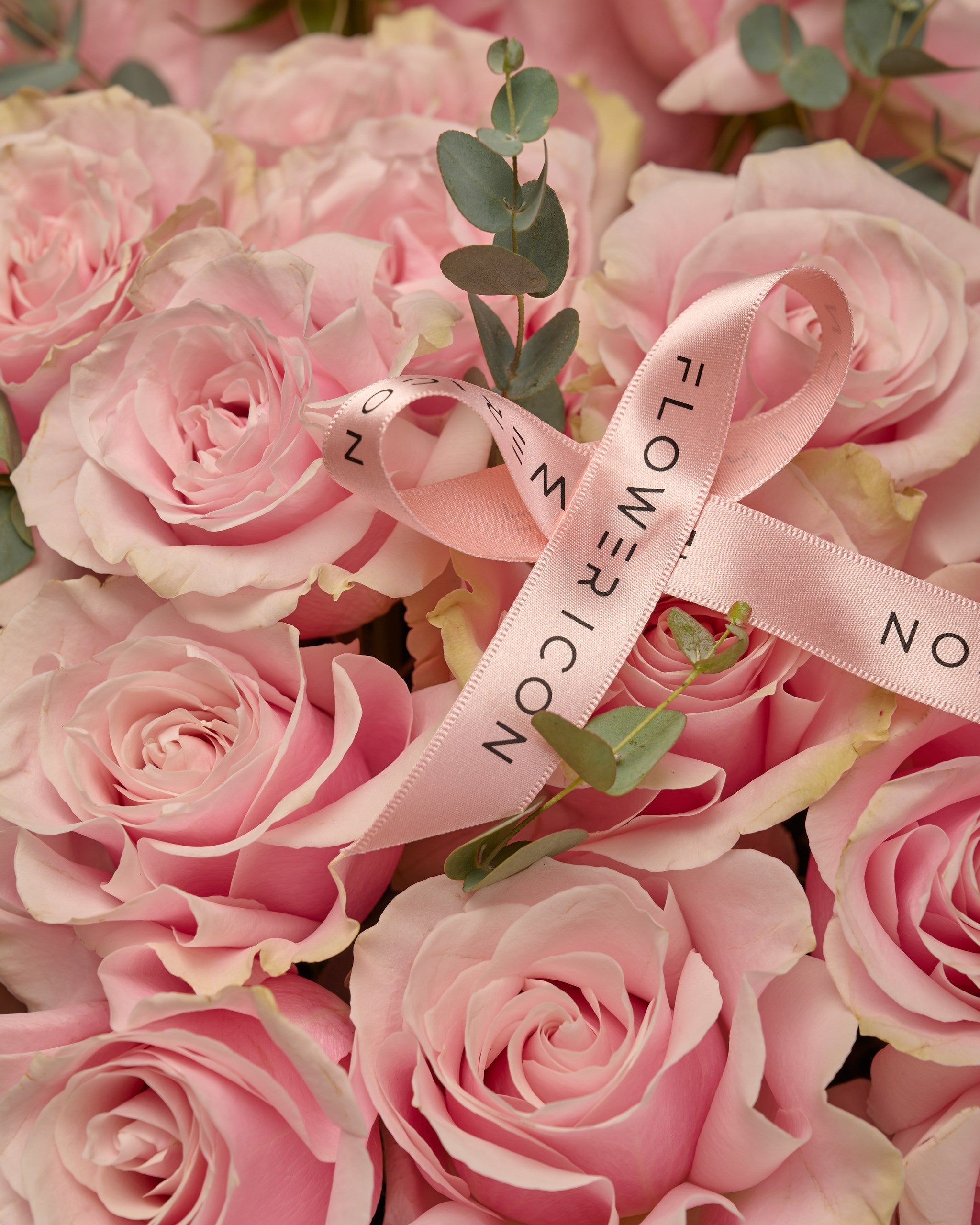 Pink Marshmallow Meadow French Roses - Flower Icon