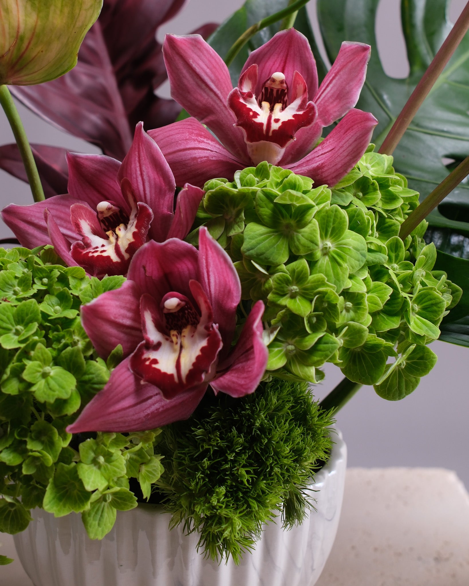 Iconic Tropique (Set of 2)