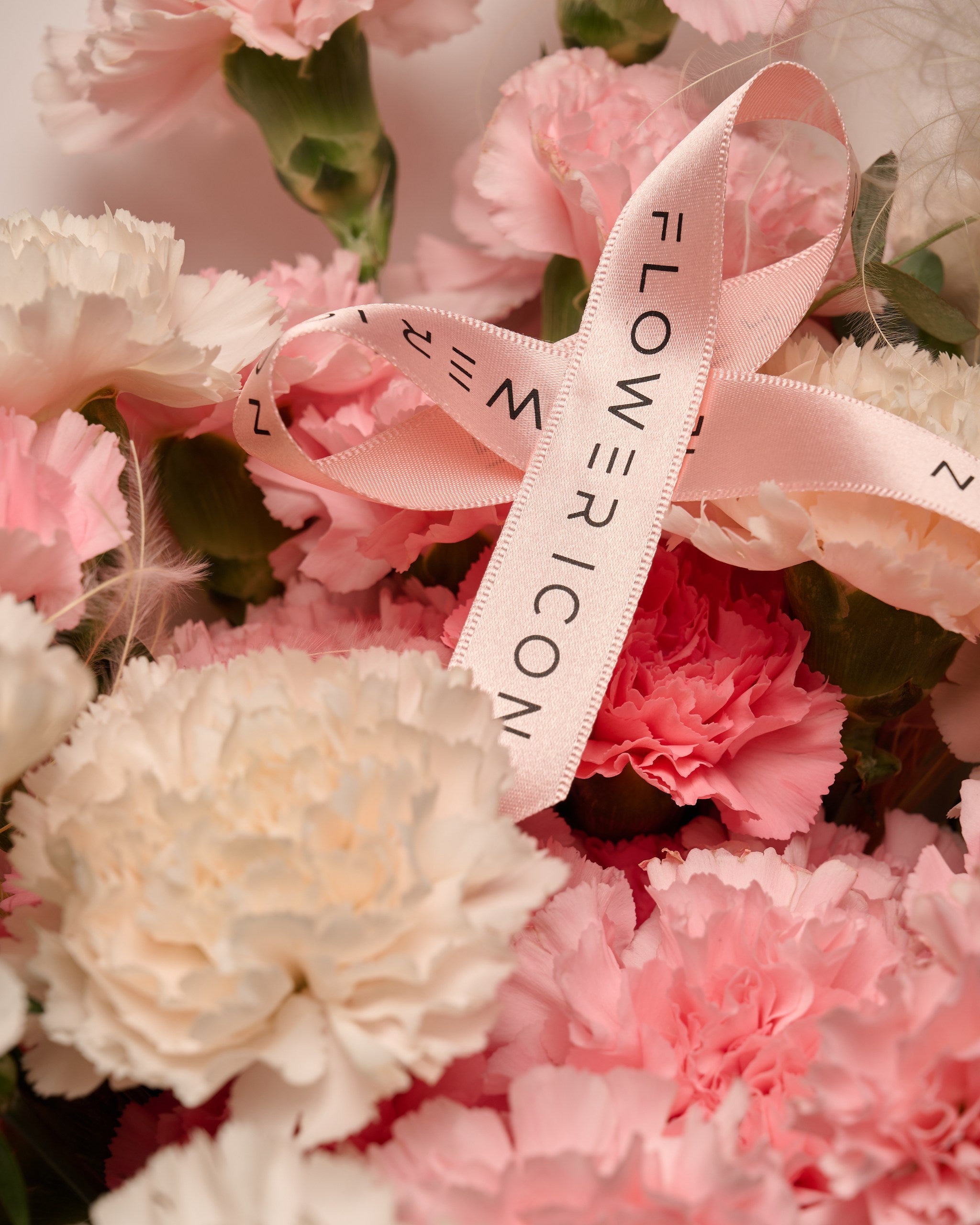 Pink Carnations Prism - Flower Icon