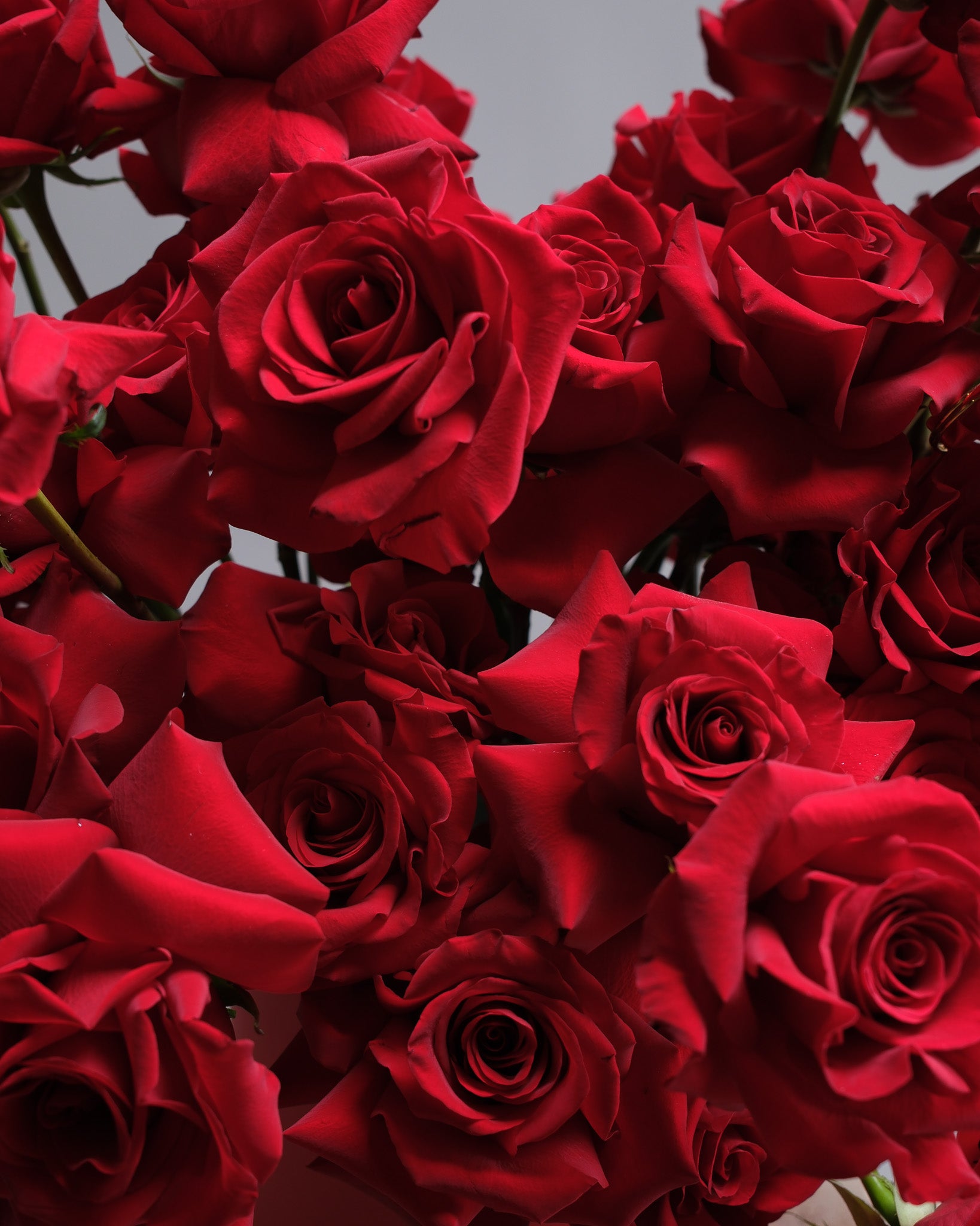 Red Roses Iconic Flower Box