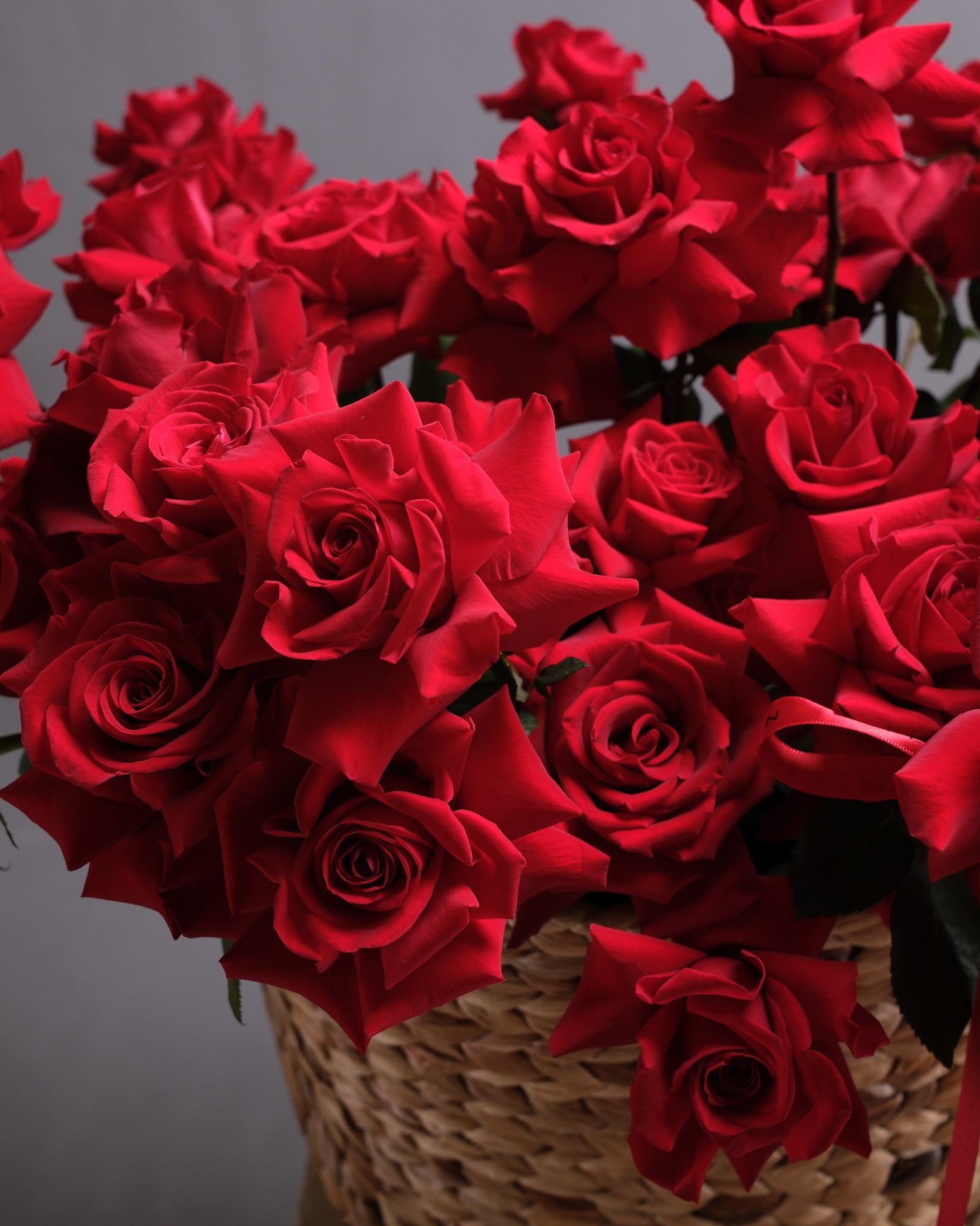 Iconic French Roses: Sailing Dreams