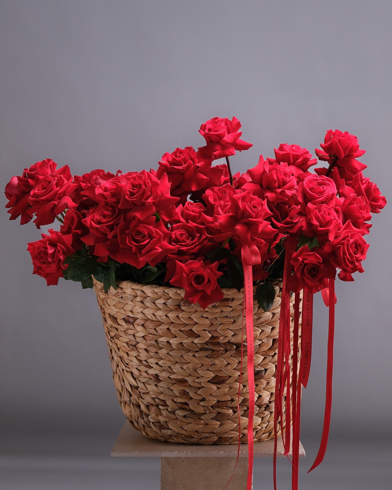 Iconic French Roses: Sailing Dreams