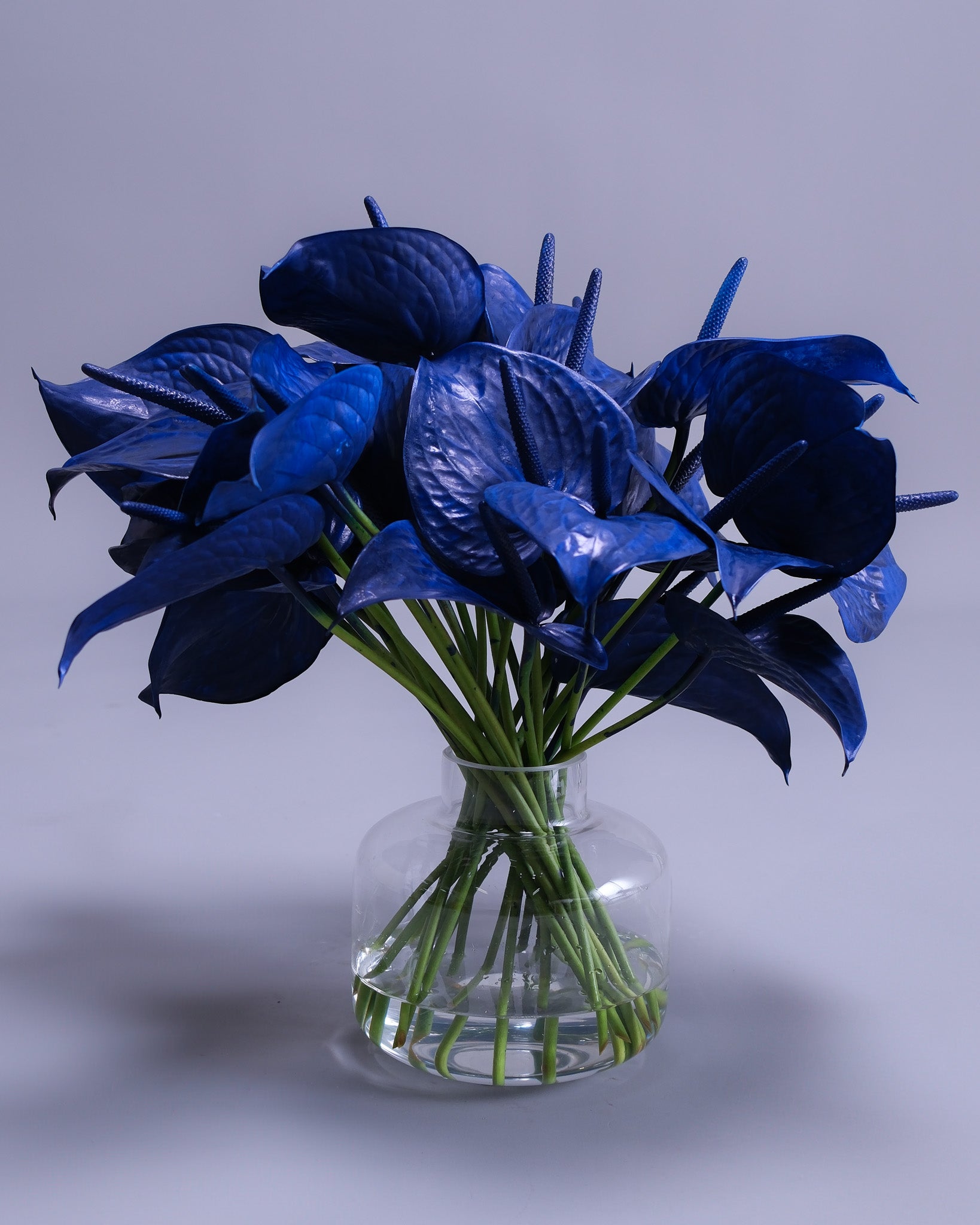 Blue Flowers | Flower Bouquet SF and Bay Area | Flower Icon