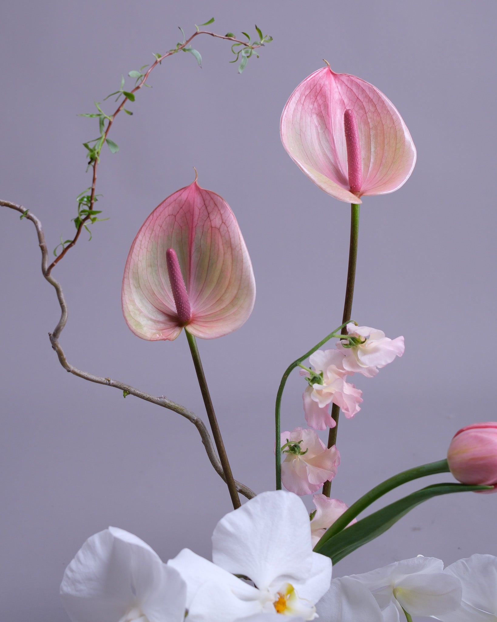 Close-up of Aurore Centerpiece showing pink Anthuriums, white Orchids and Sweet Pea blooms with sculptural branches