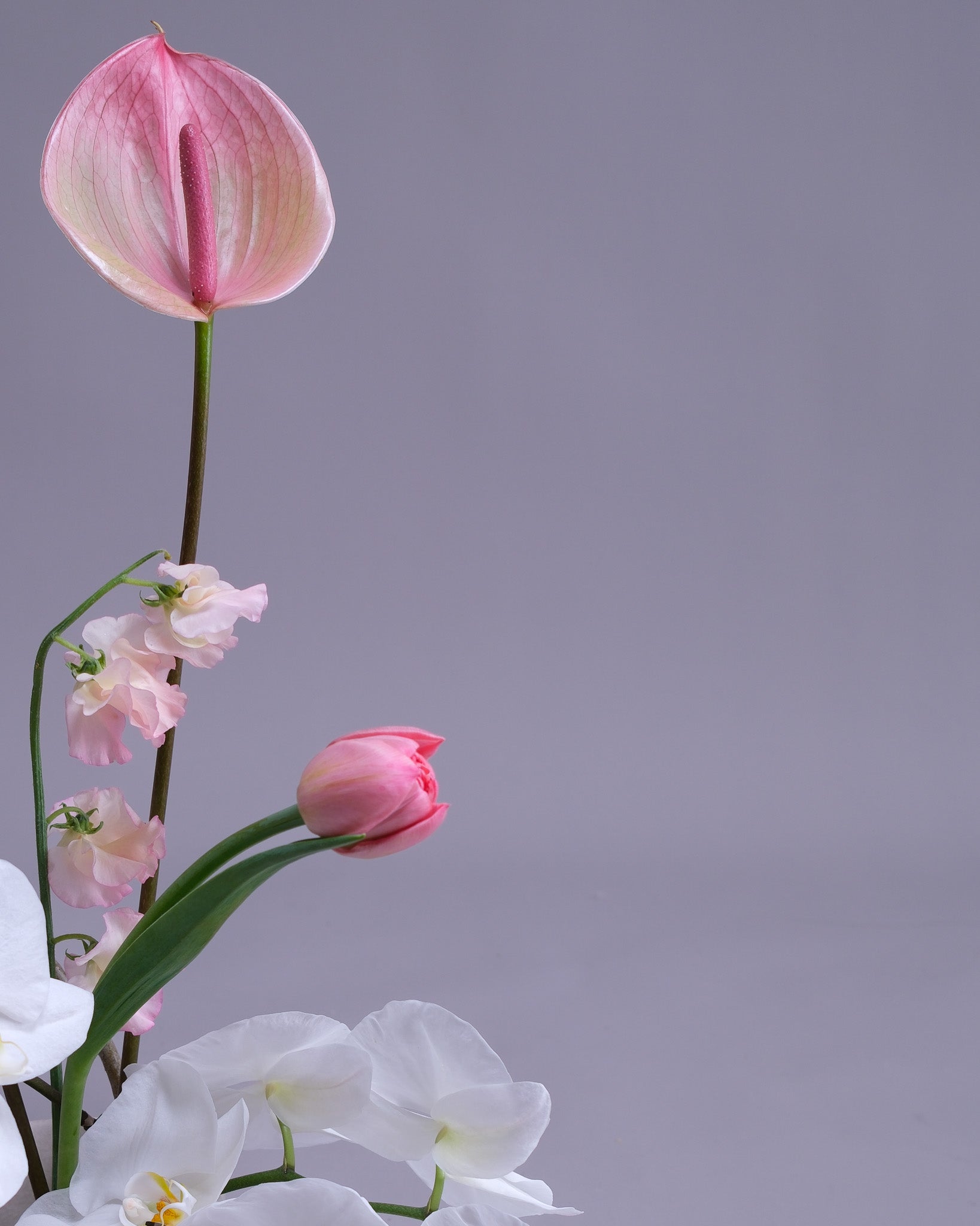 Detail of Aurore Centerpiece featuring a single blush Anthurium, pink Tulip and cascading white Orchid petals
