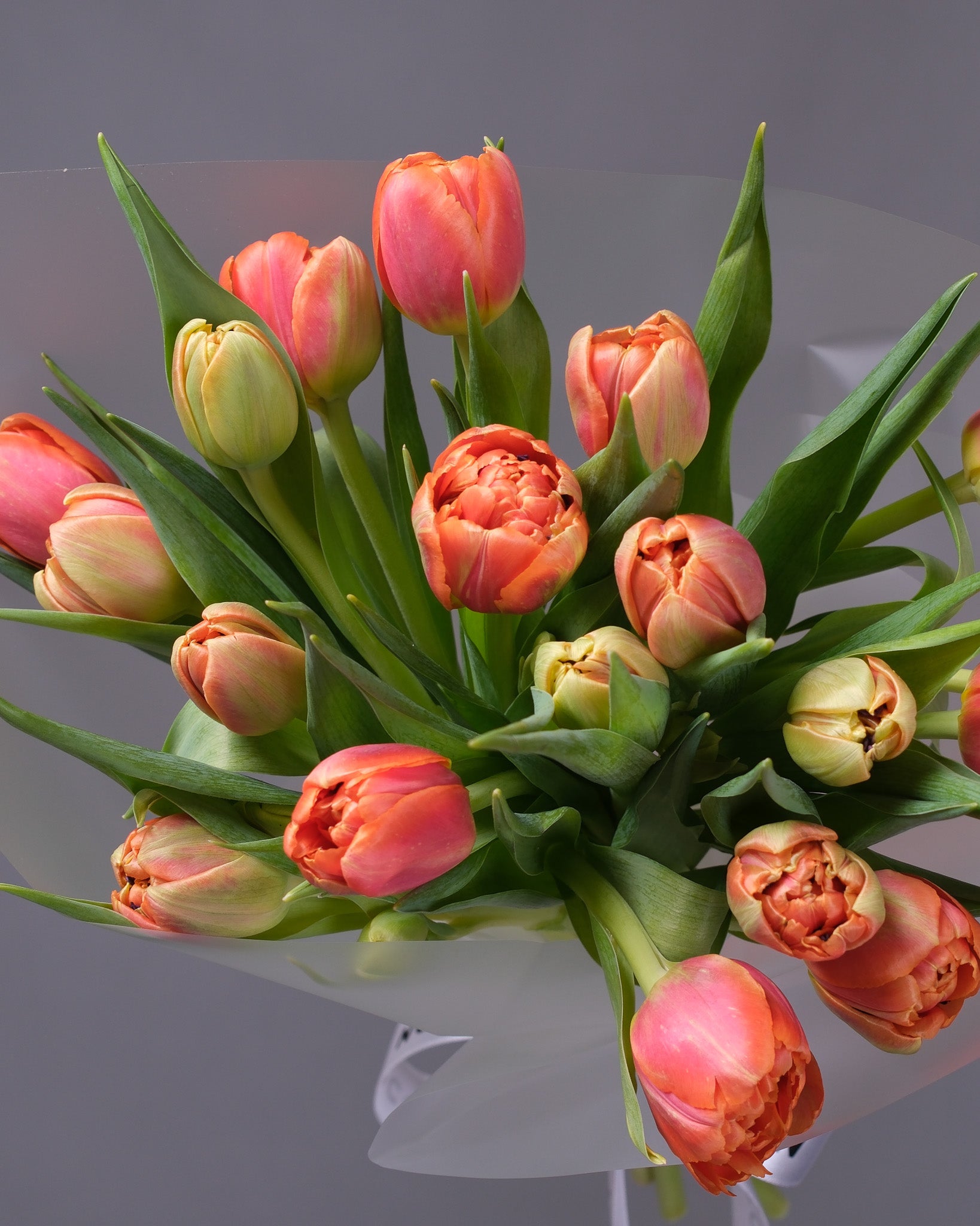 Bouquet of orange and green tulips on a gray background
