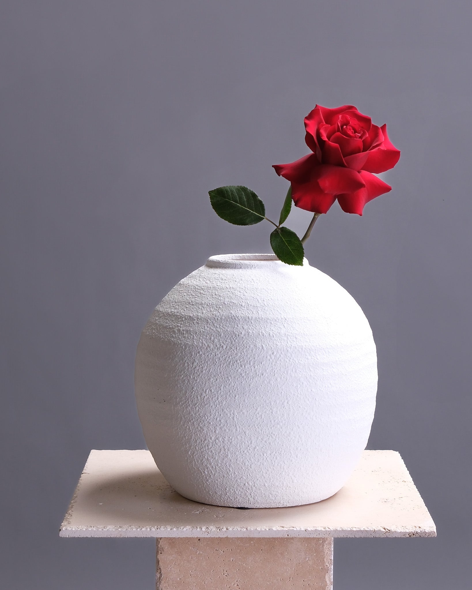 White textured vase with a red rose on a gray background