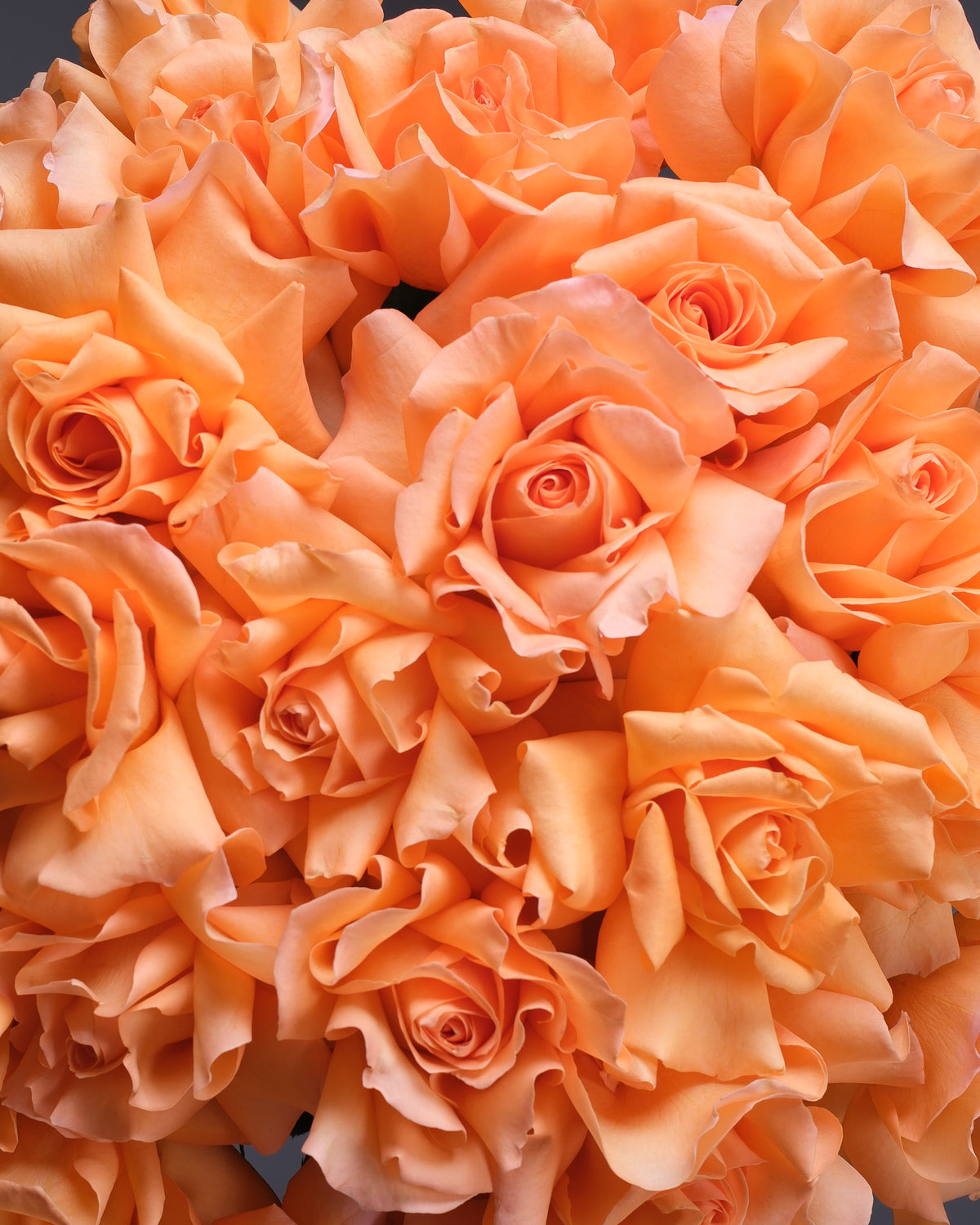 Amber Roses Bouquet