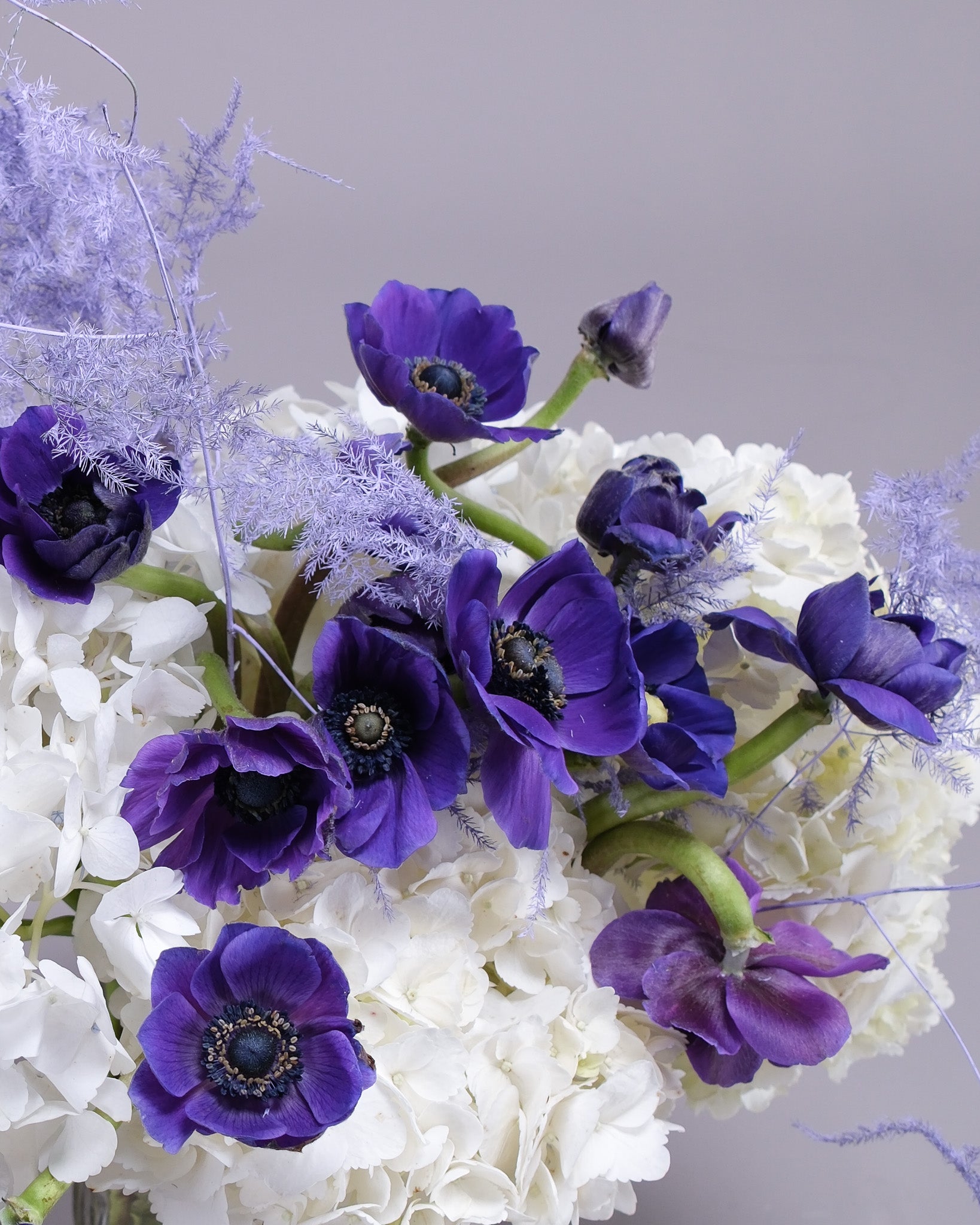 Indigo Hour — Blue Anemone & White Hydrangea Vase Arrangement