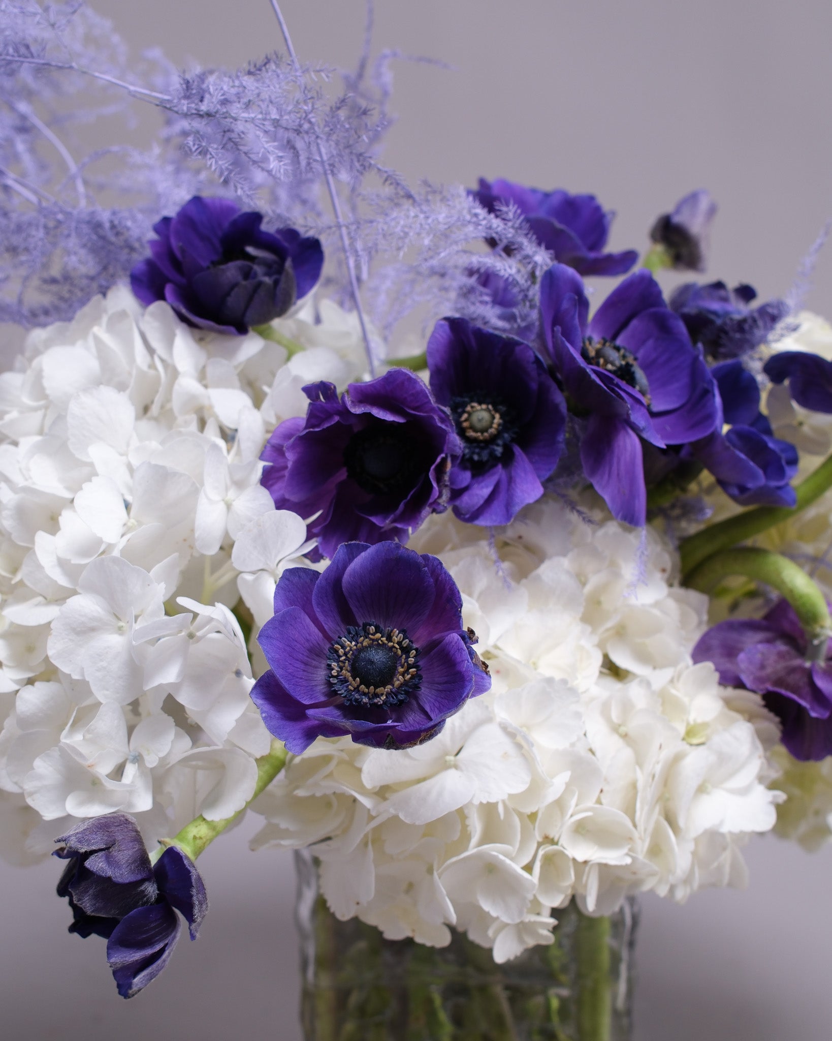 Indigo Hour — Blue Anemone & White Hydrangea Vase Arrangement