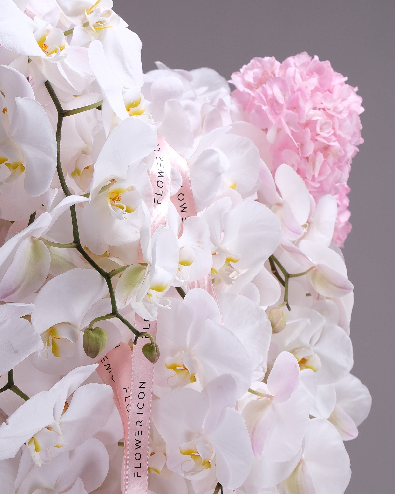 Hydrangea & Orchid Cascade Basket