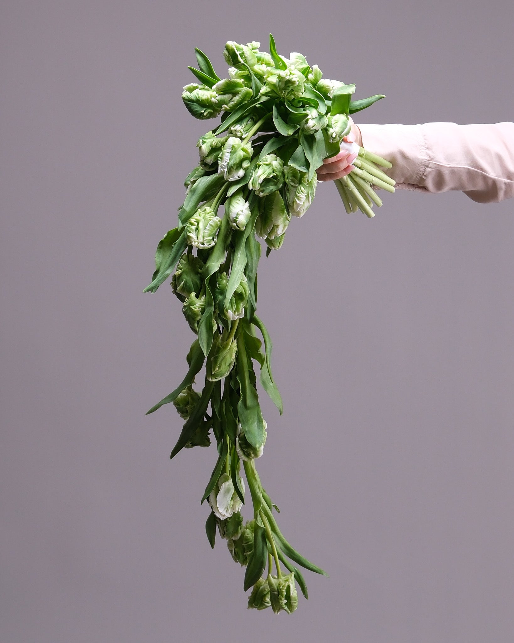 Cascading Green Tulip Bridal Bouquet & Boutonniere